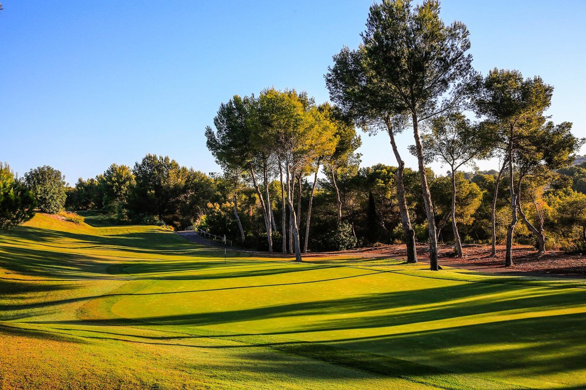 Nowy budynek - Villa - Orihuela - Las Colinas Golf