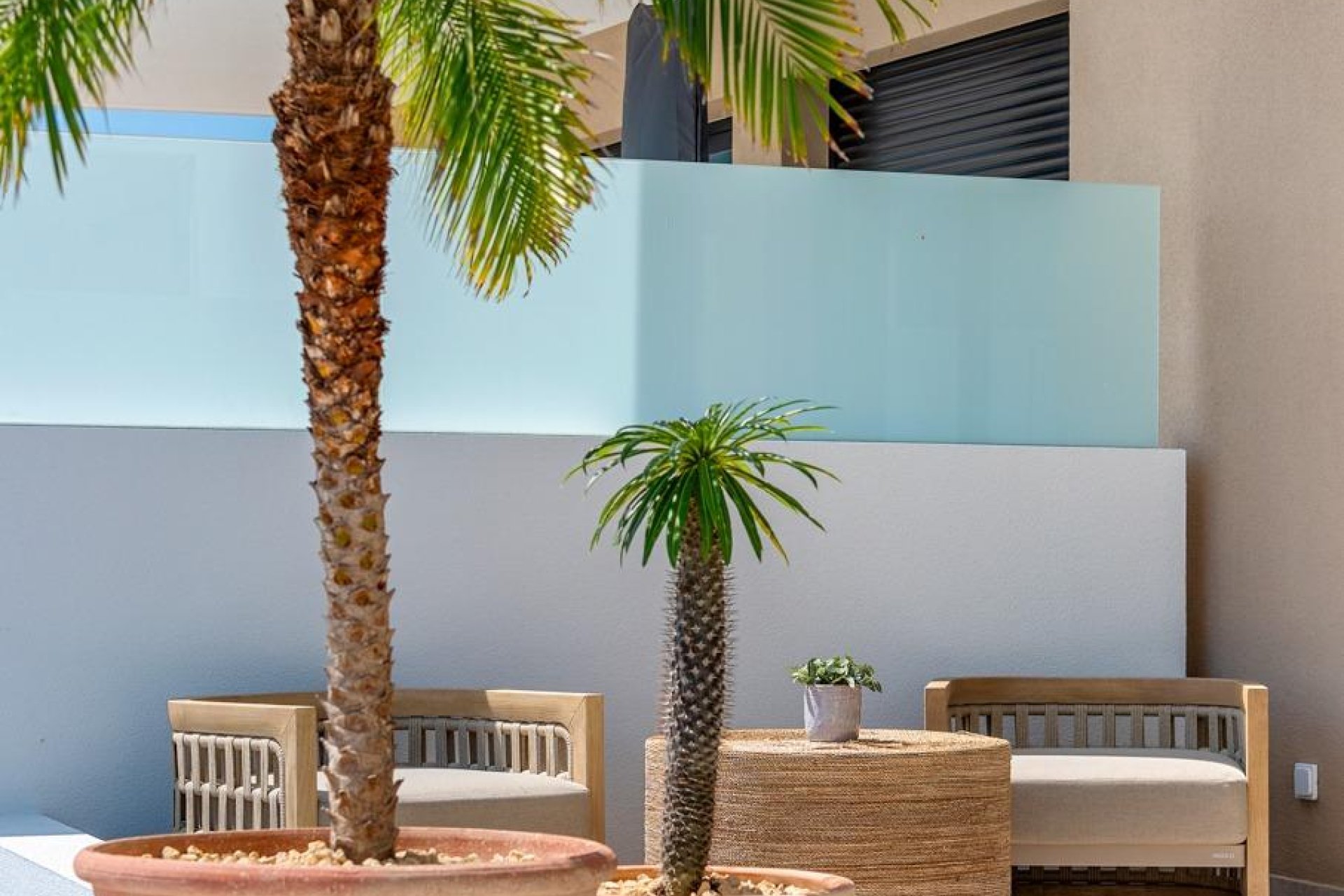 Obra nueva - Adosado - Dolores - Sector 3