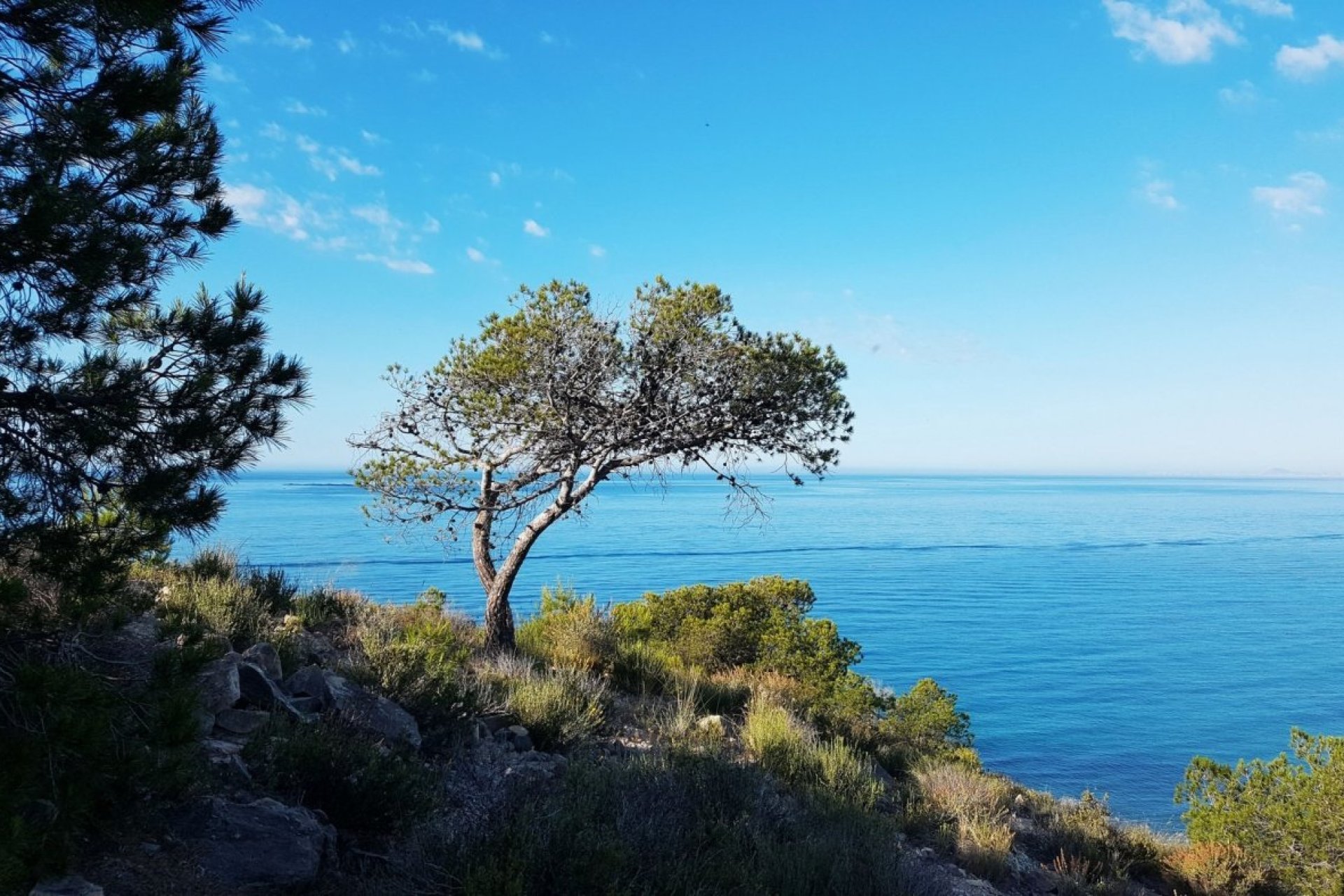 Obra nueva - Apartment - Villajoyosa - Playa Les Torres