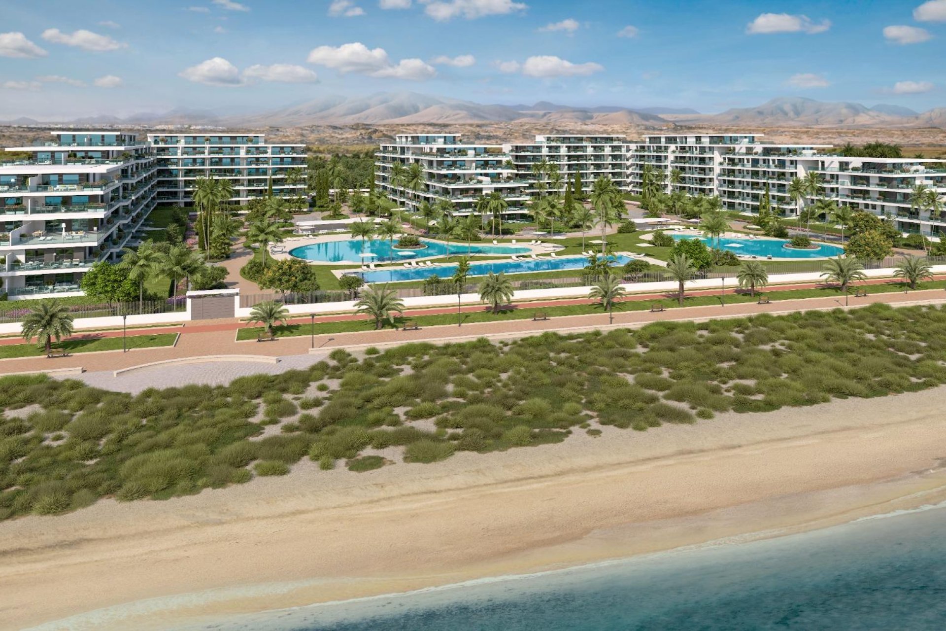 Obra nueva - Ático - Almerimar - 1ª Linea De Playa