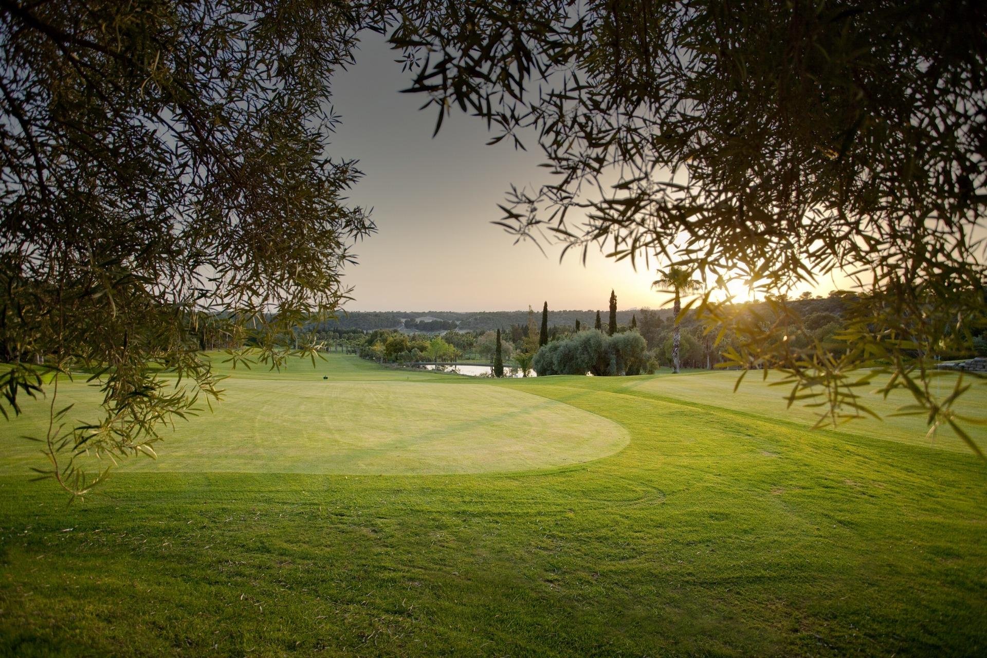 Obra nueva - Ático - Orihuela Costa - Lomas de Campoamor