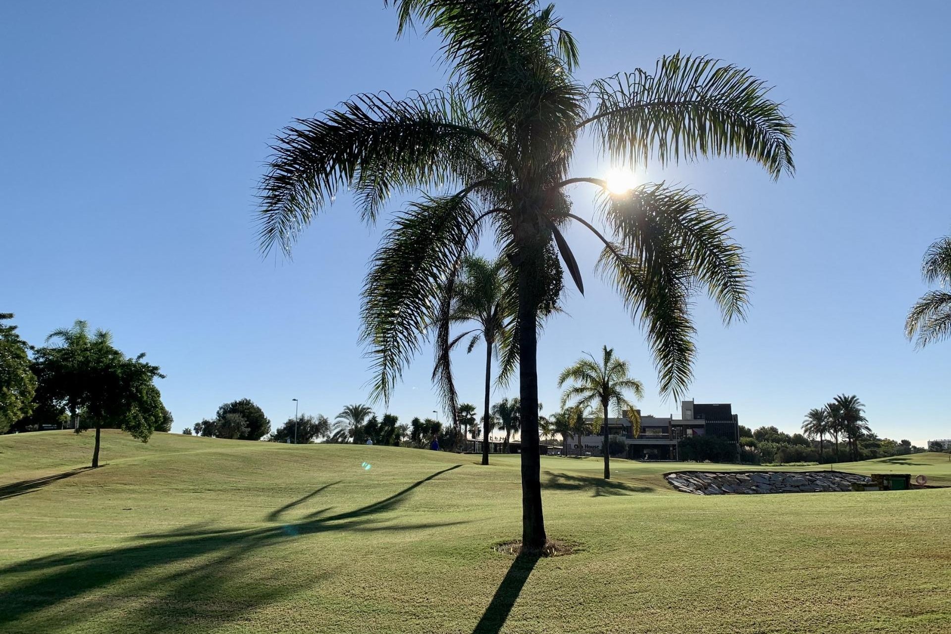 Obra nueva - Bungalow - San Javier - Roda Golf