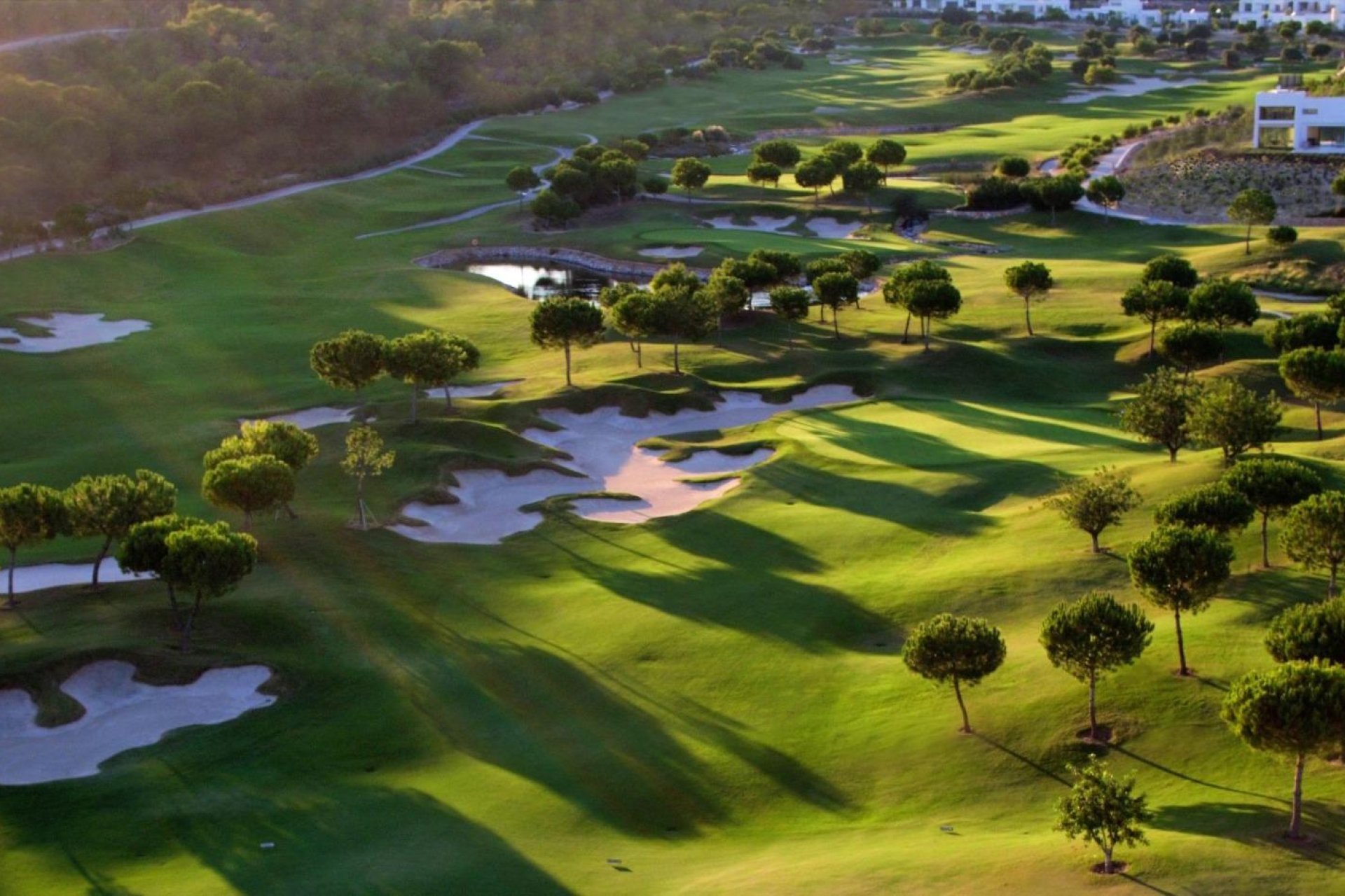 Obra nueva - Villa - Orihuela - Las Colinas Golf