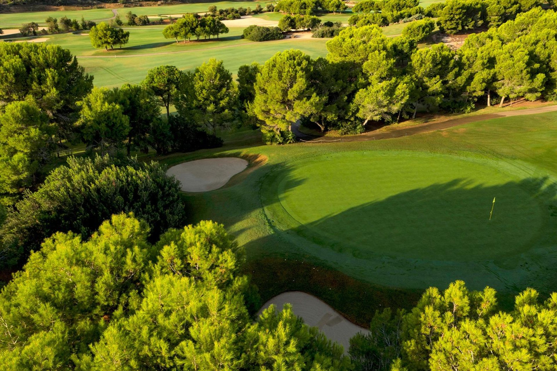 Obra nueva - Villa - Pilar de la Horadada - Lo Romero Golf