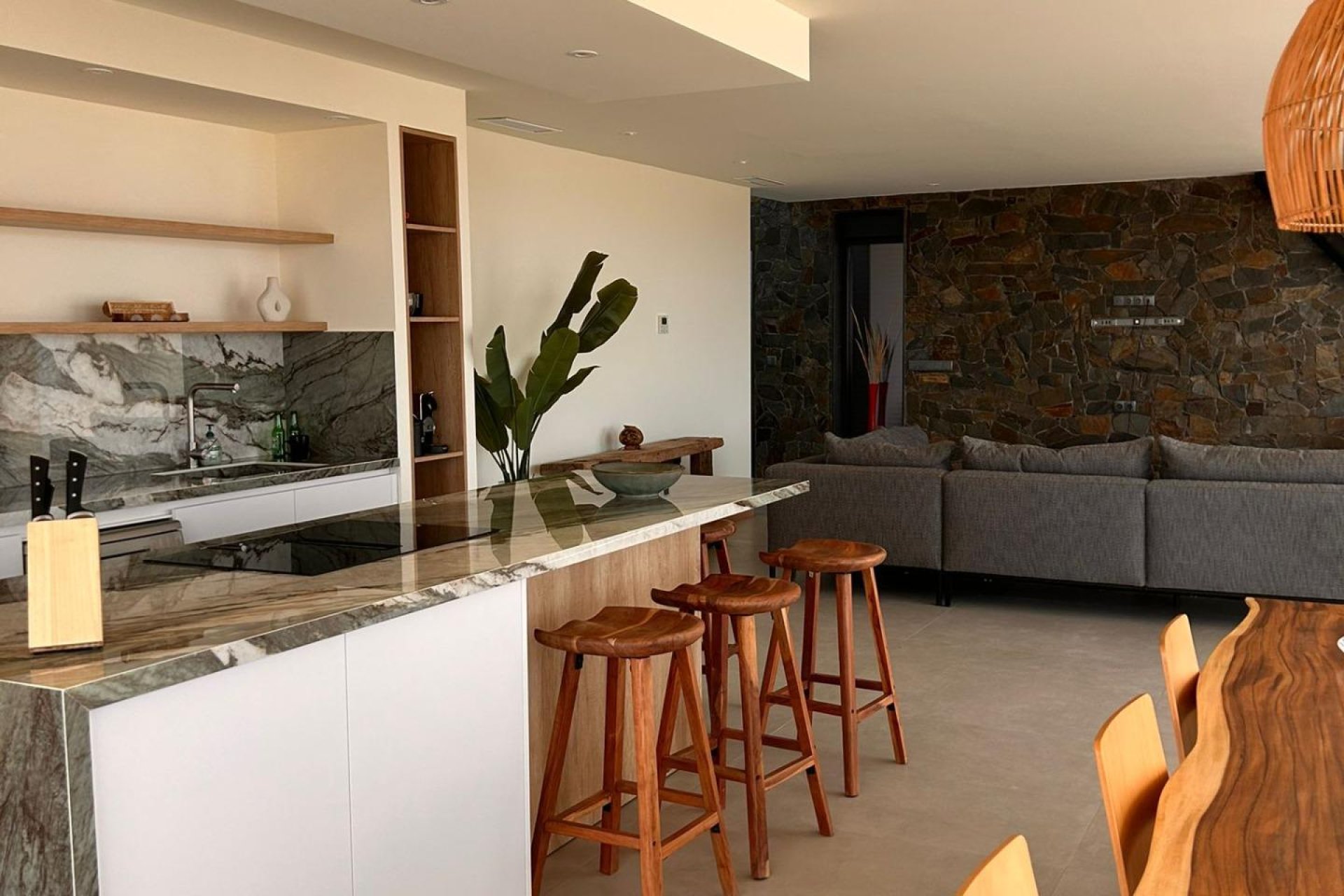 Obra nueva - Villa - Pinoso - Casas Pastor