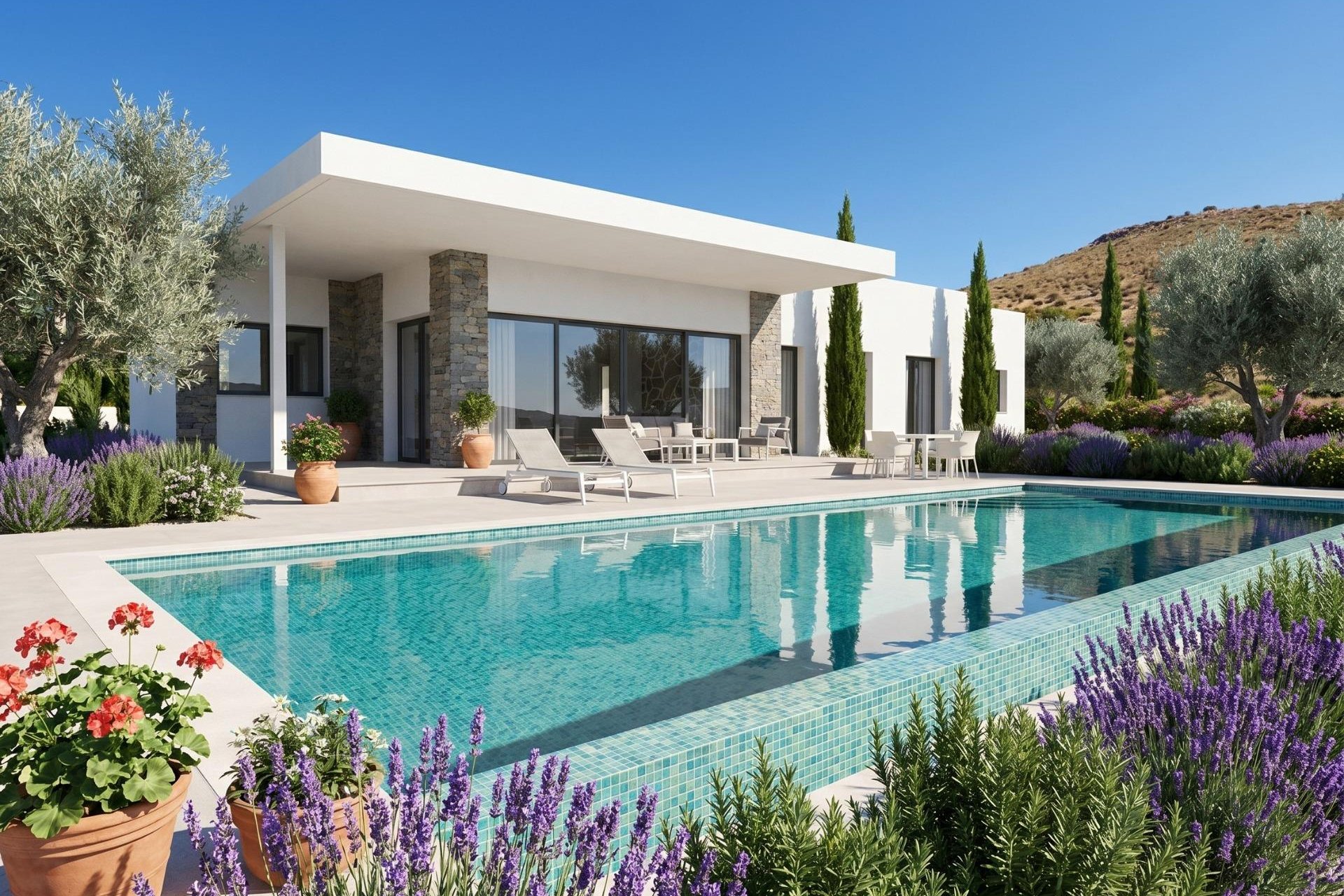Obra nueva - Villa - Pinoso - Comunidad Valenciana