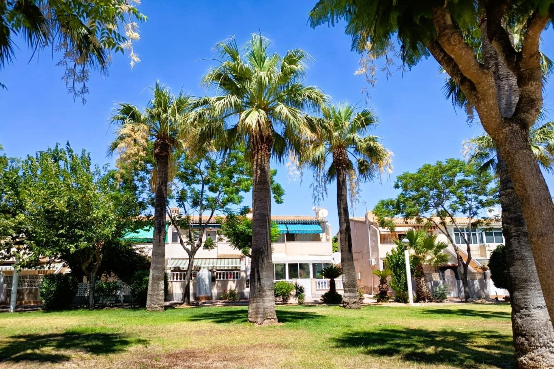 Odsprzedaż - domek letniskowy - Orihuela Costa - La Regia