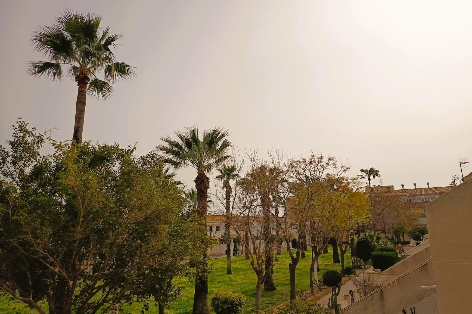 Odsprzedaż - Mieszkanie w bloku - Orihuela Costa - La Regia