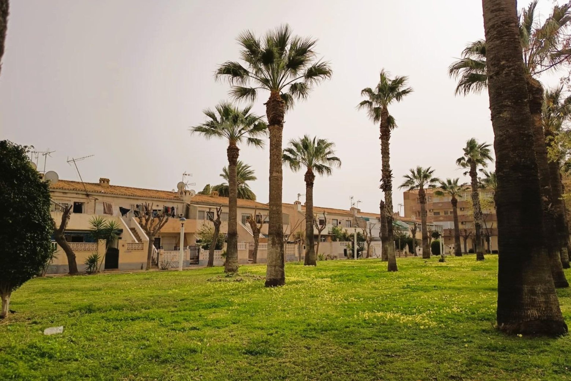 Odsprzedaż - Mieszkanie w bloku - Orihuela Costa - La Regia