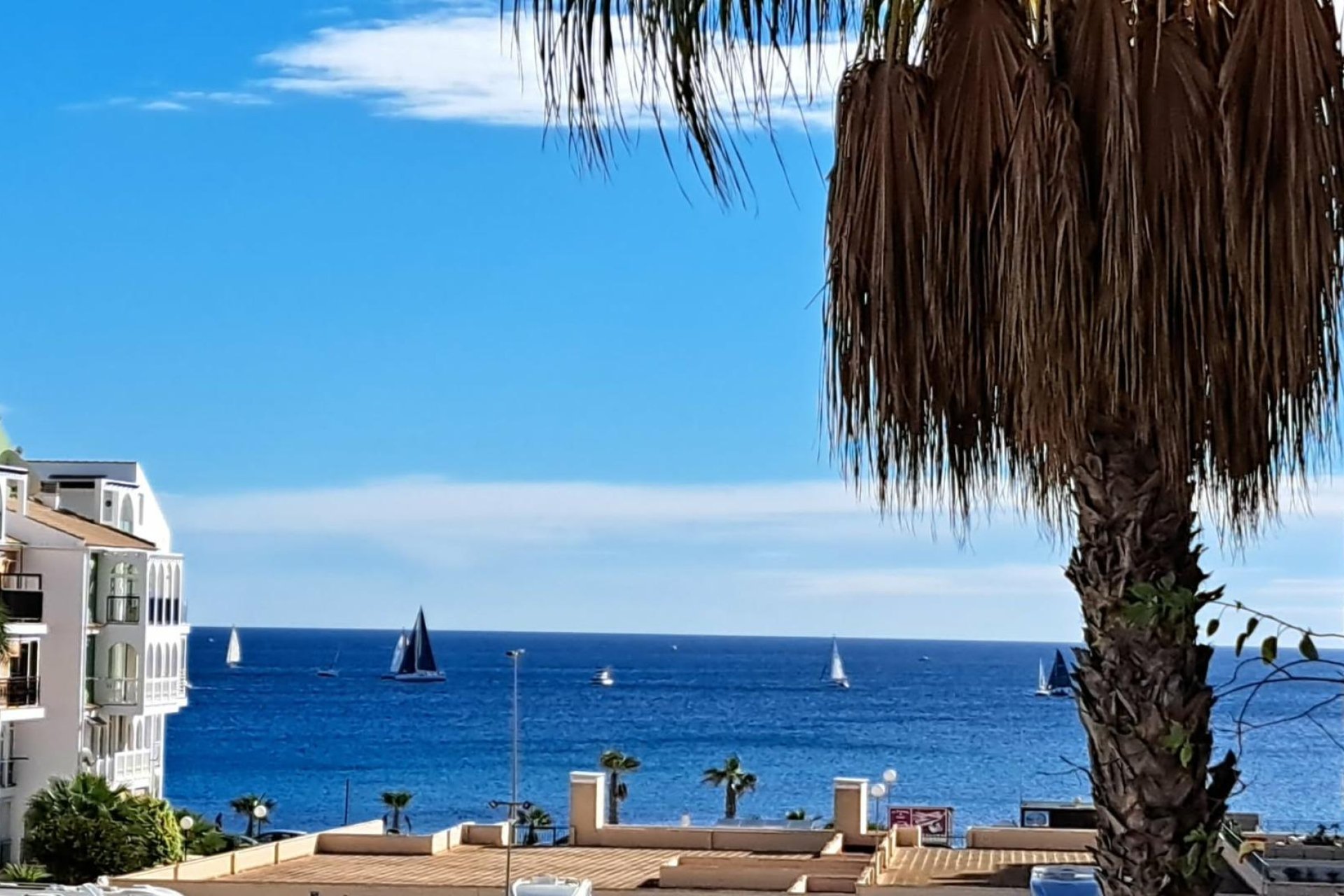 Odsprzedaż - Mieszkanie w bloku - Torrevieja - La veleta