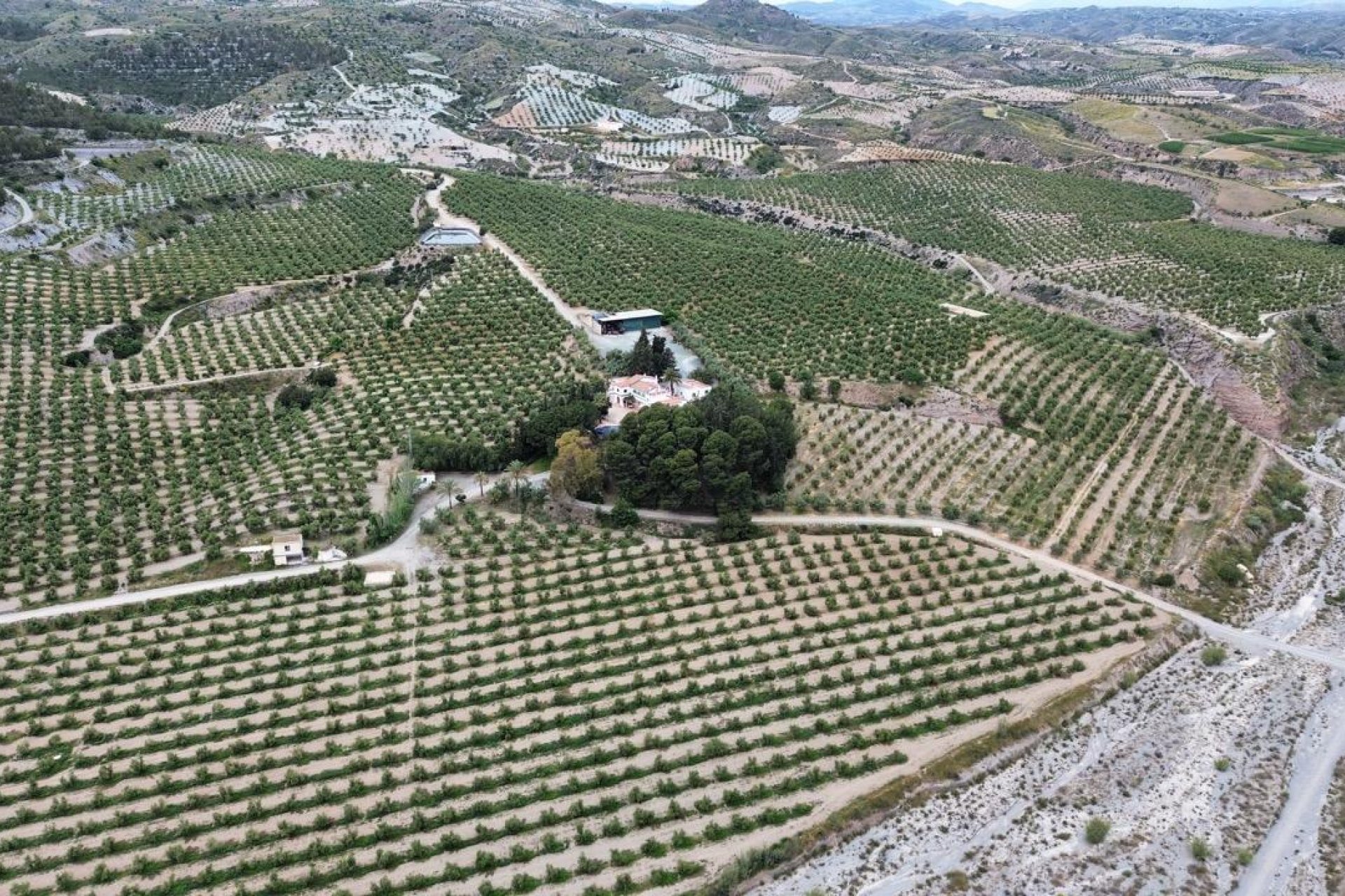 Odsprzedaż - Olivar - Puerto Lumbreras - Nogalte