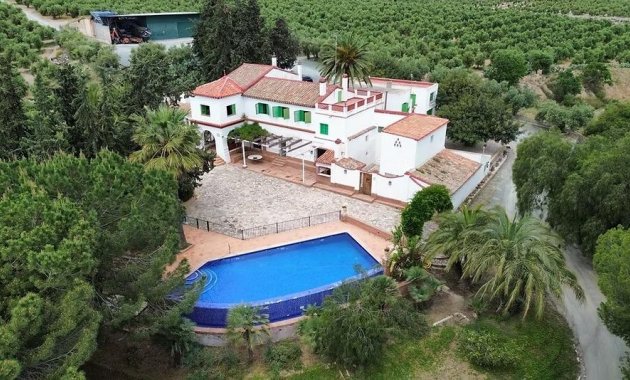Olivar - Resale - Puerto Lumbreras - COR2940