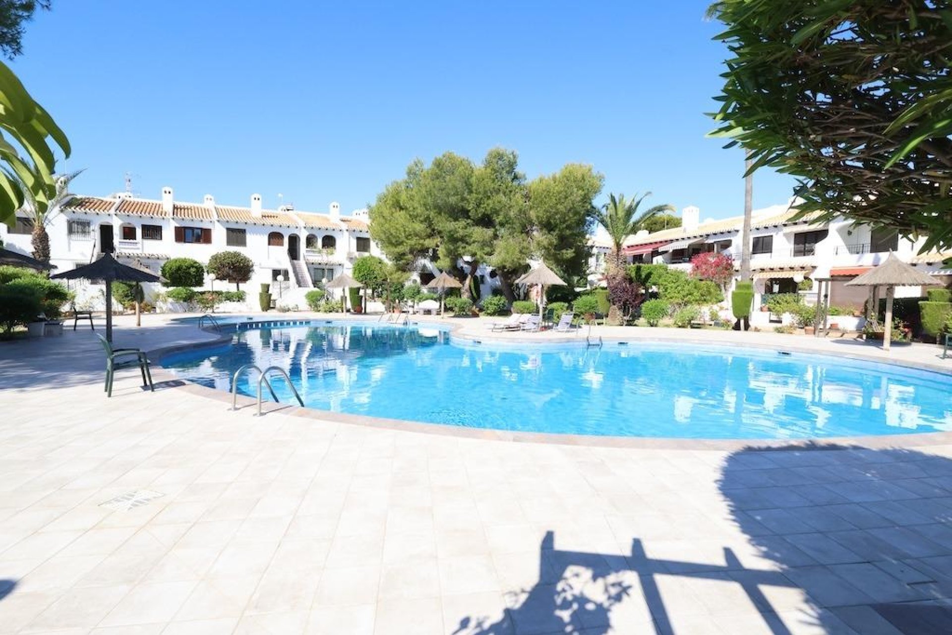 Rental - Apartment  - Cabo Roig