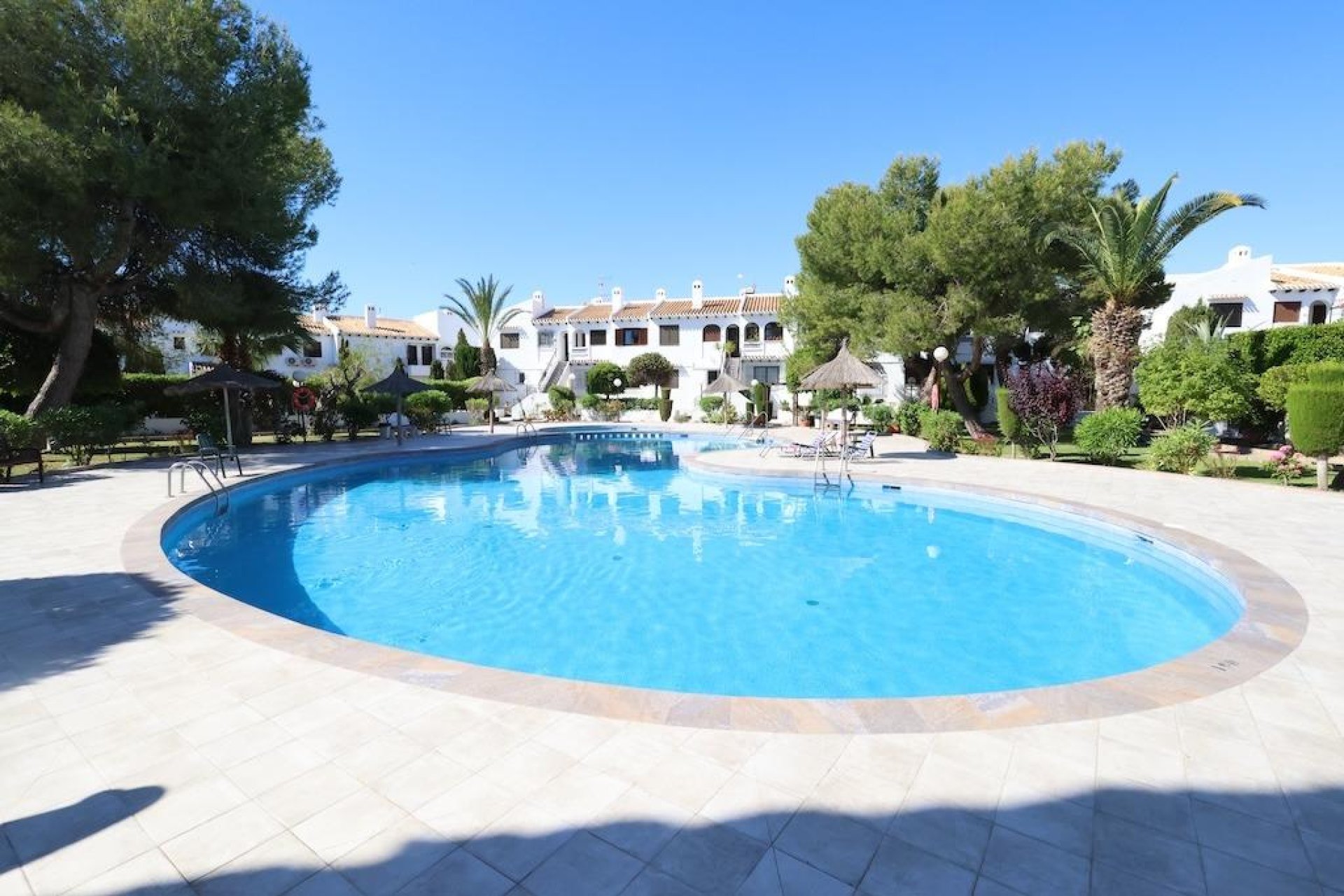 Rental - Apartment  - Cabo Roig
