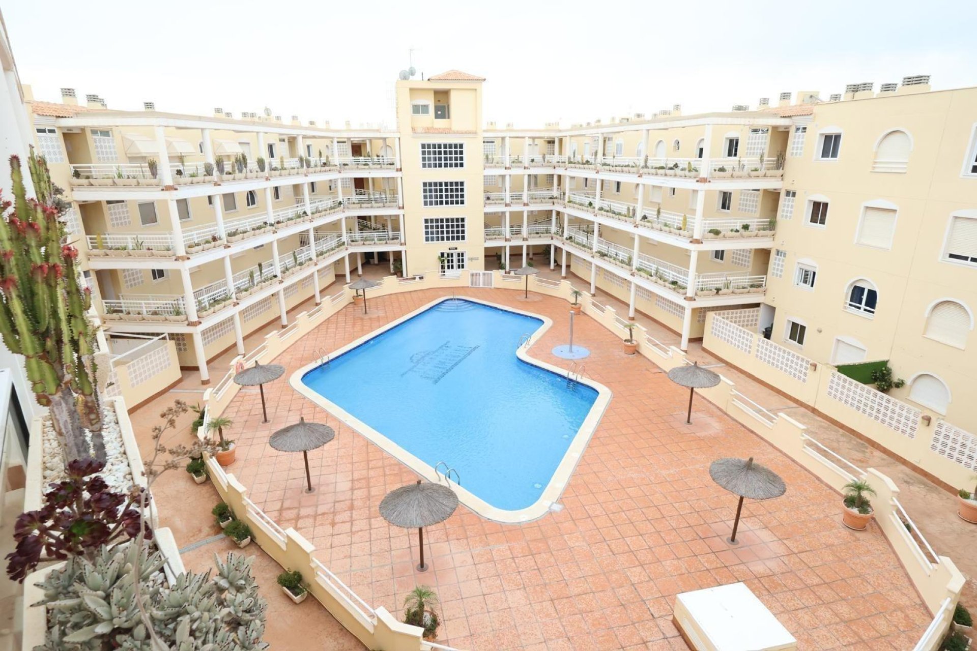 Rental - Apartment  - Orihuela Costa - Campoamor