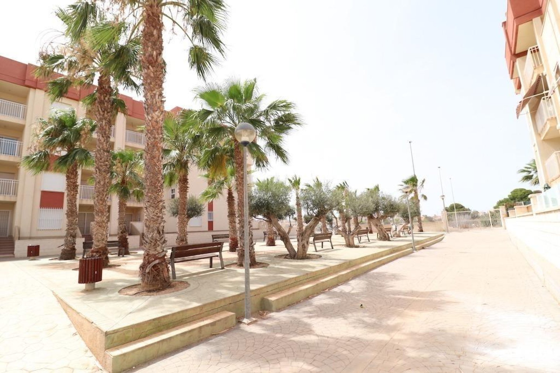 Rental - Apartment  - Orihuela Costa - Lomas de Cabo Roig