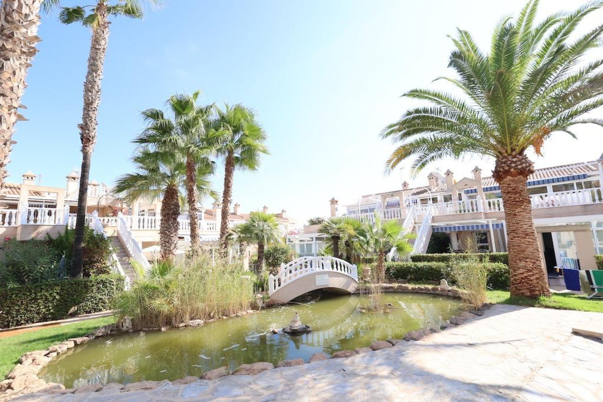 Rental - Apartment  - Orihuela Costa - Los Dolses