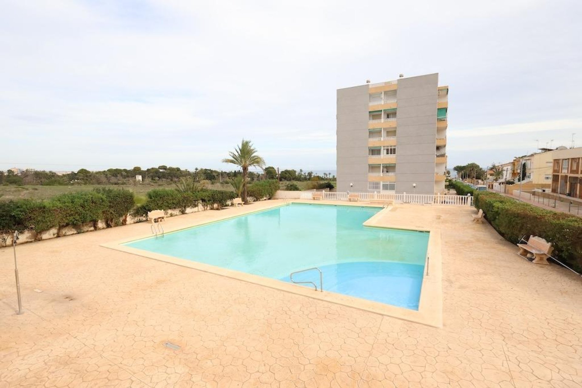 Rental - Apartment  - Torrevieja - Punta prima
