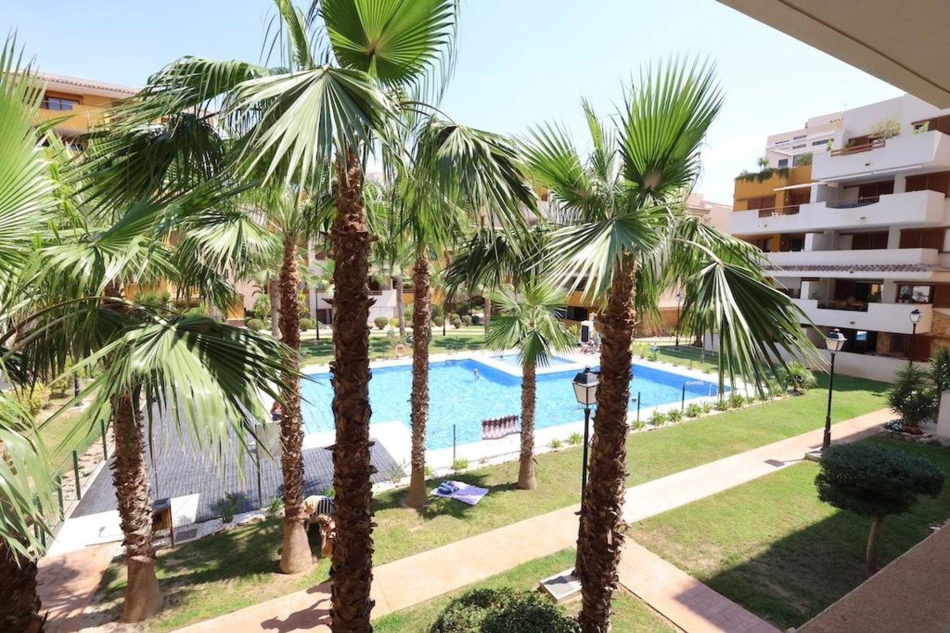Rental - Apartment  - Torrevieja - Punta prima