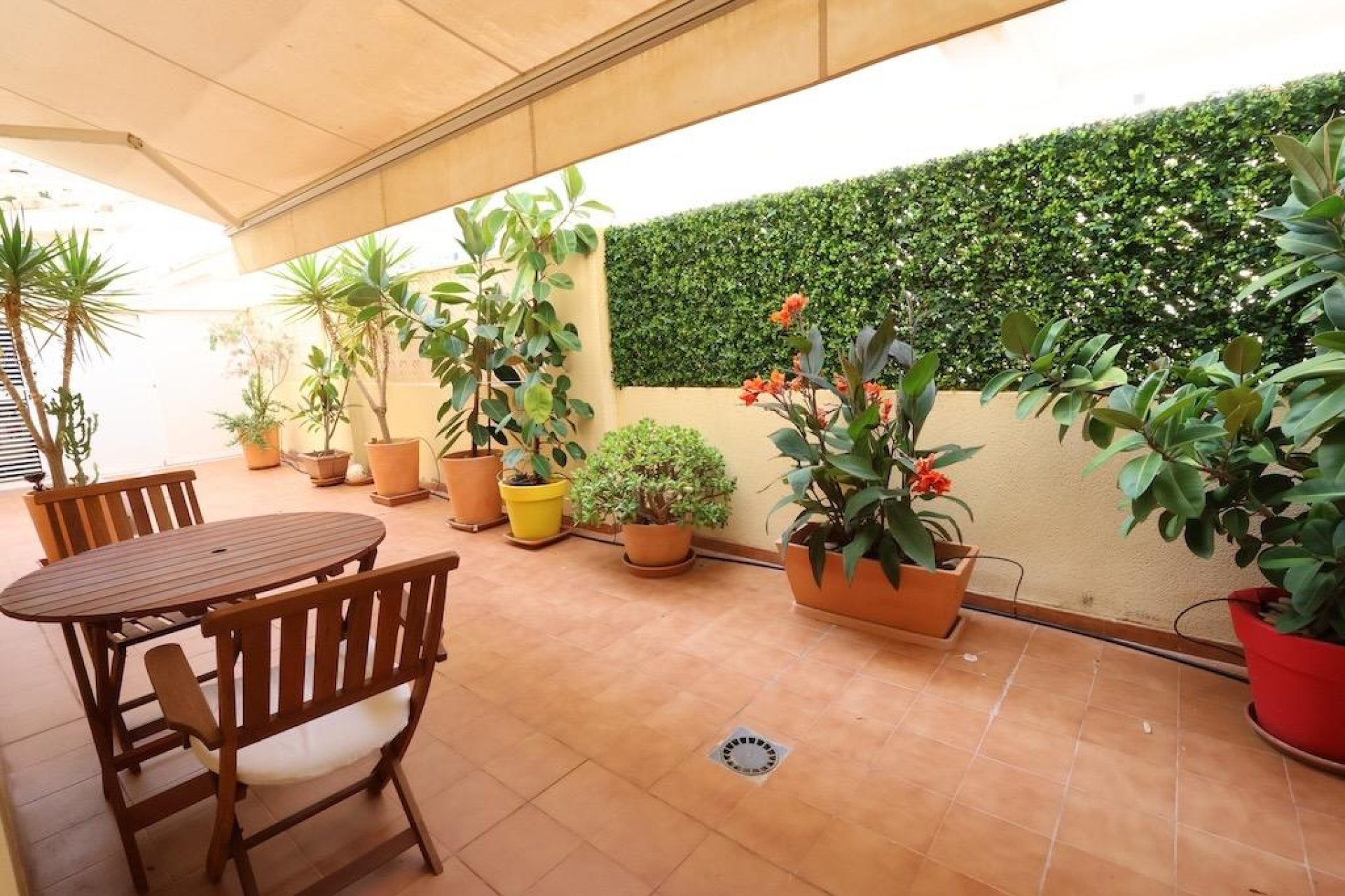 Resale - Apartment  - Orihuela Costa - Campoamor
