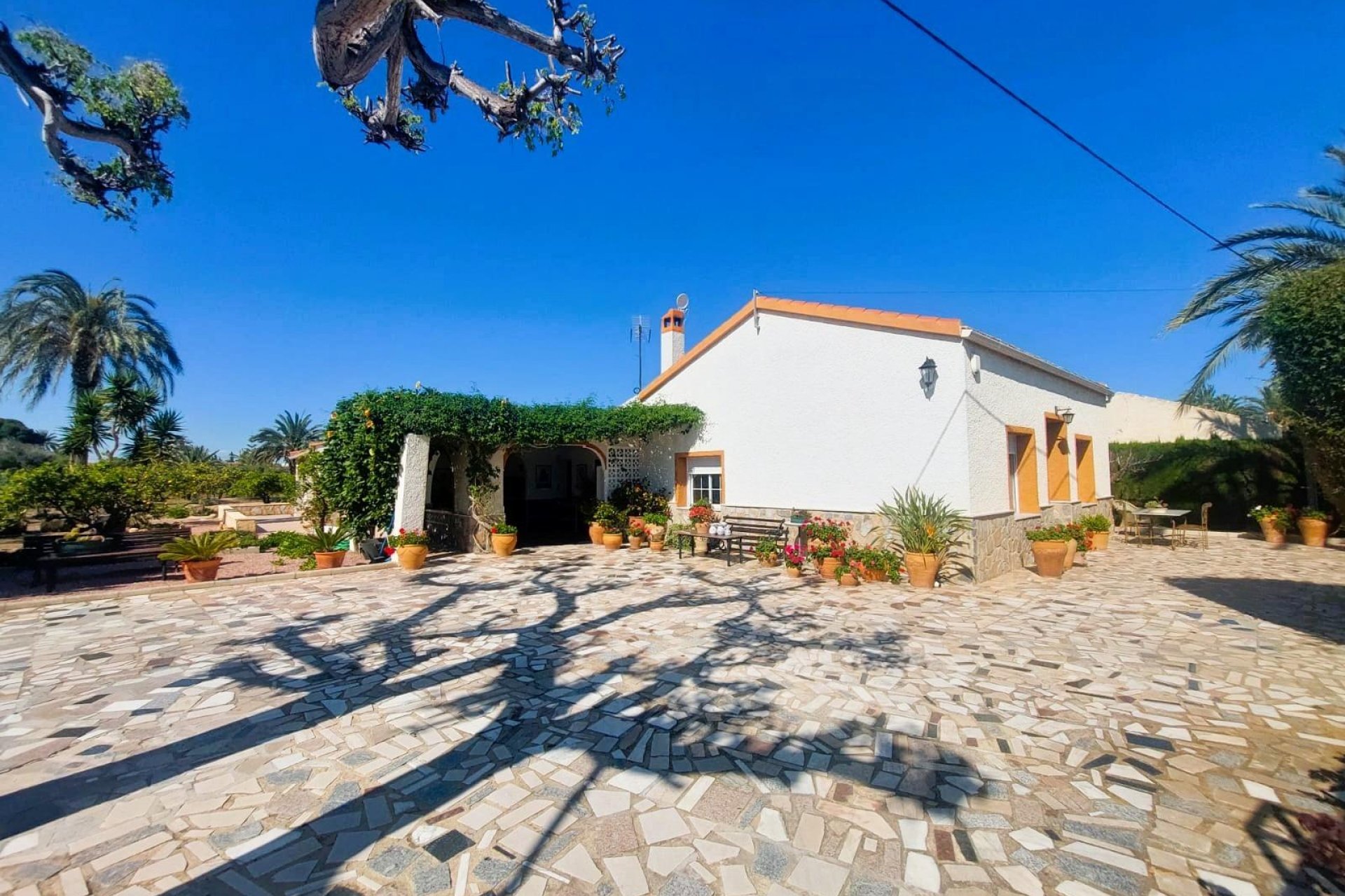 Resale - Farmhouse villa - La marina - La Marina