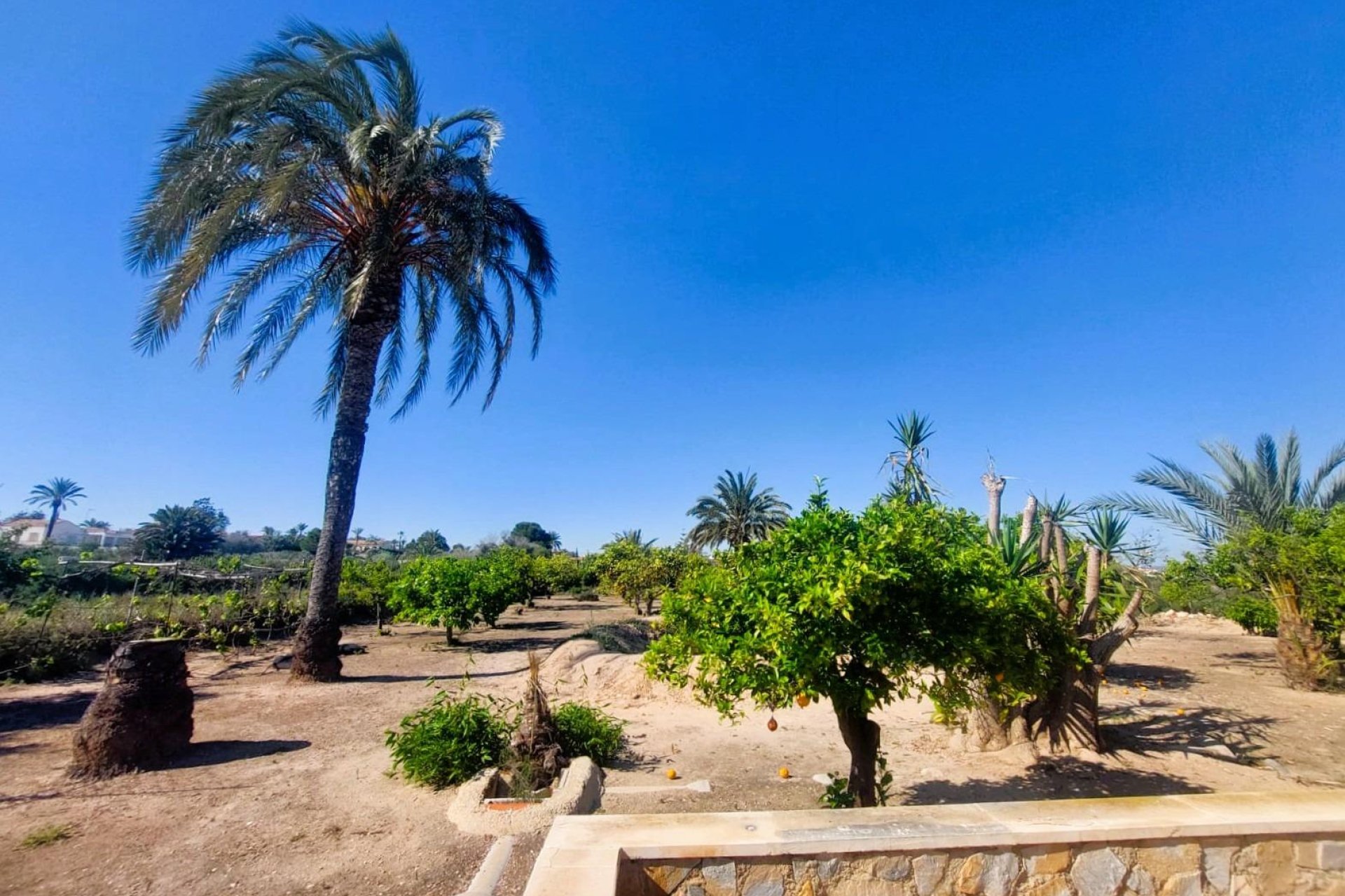 Resale - Farmhouse villa - La marina - La Marina