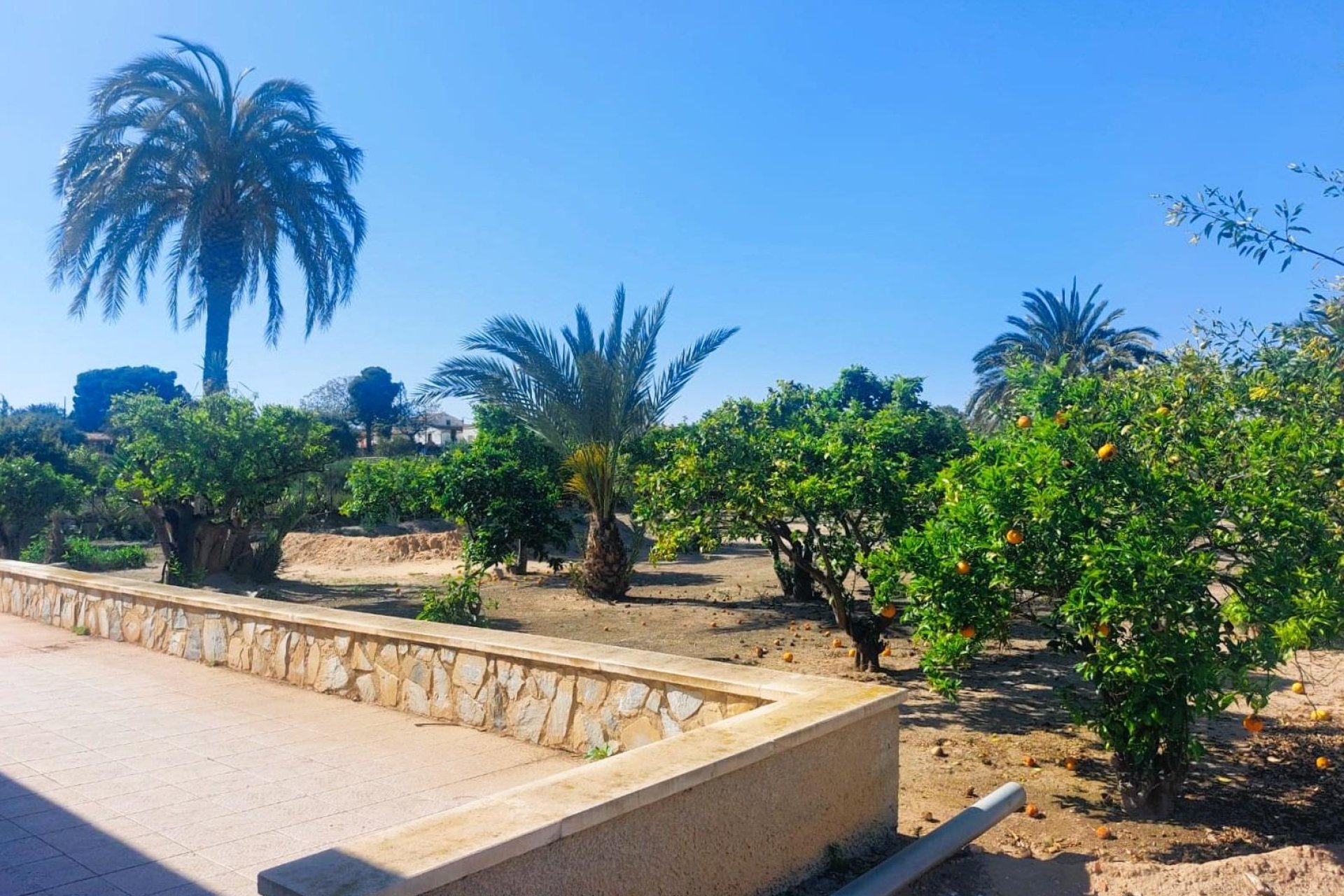 Resale - Farmhouse villa - La marina - La Marina