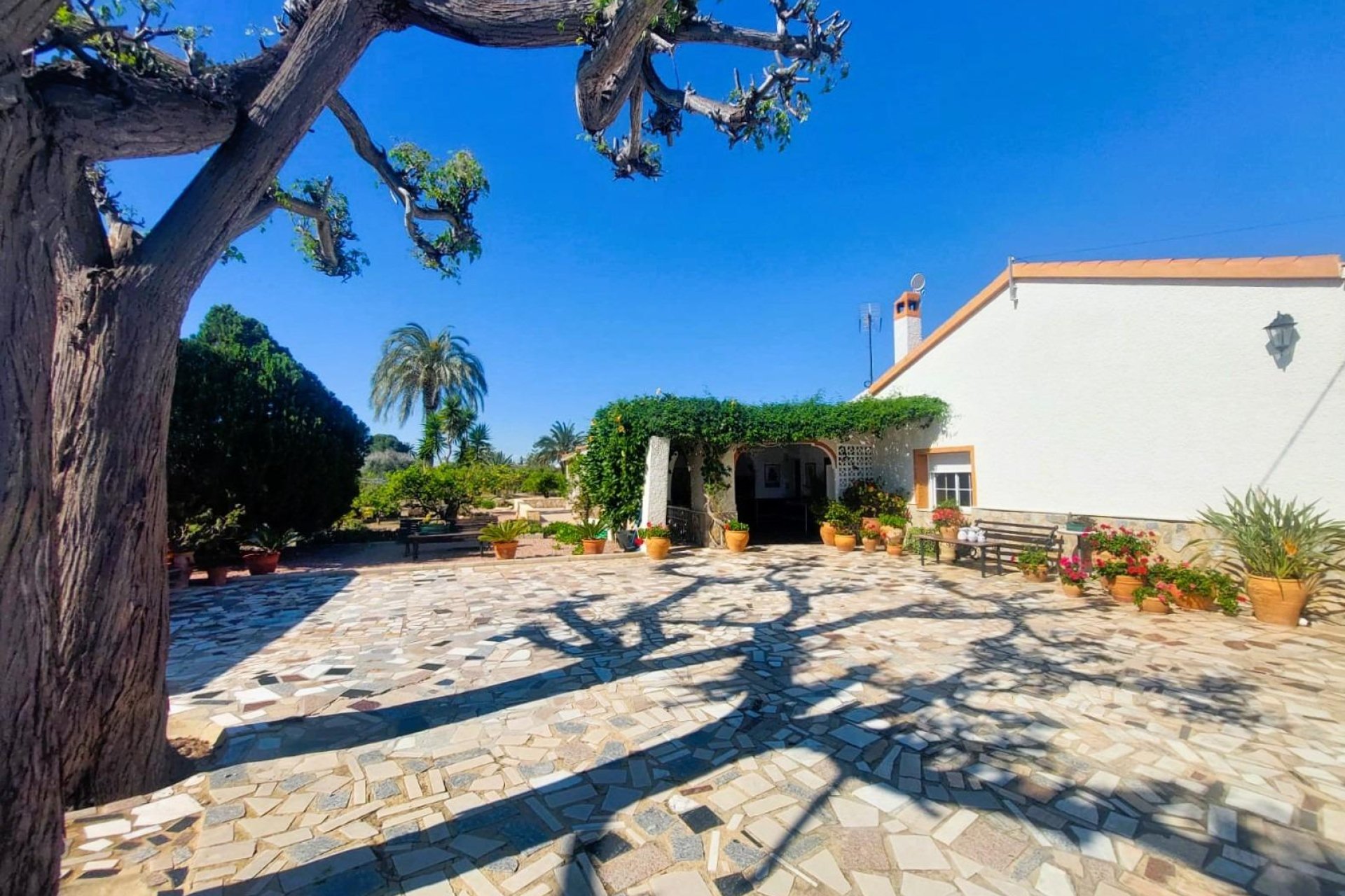 Resale - Farmhouse villa - La marina - La Marina