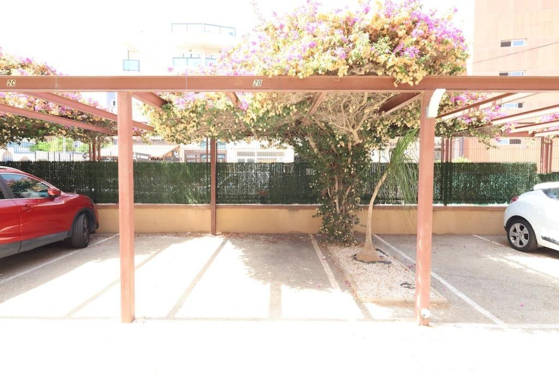 Revente - Appartement - Orihuela Costa - Aguamarina