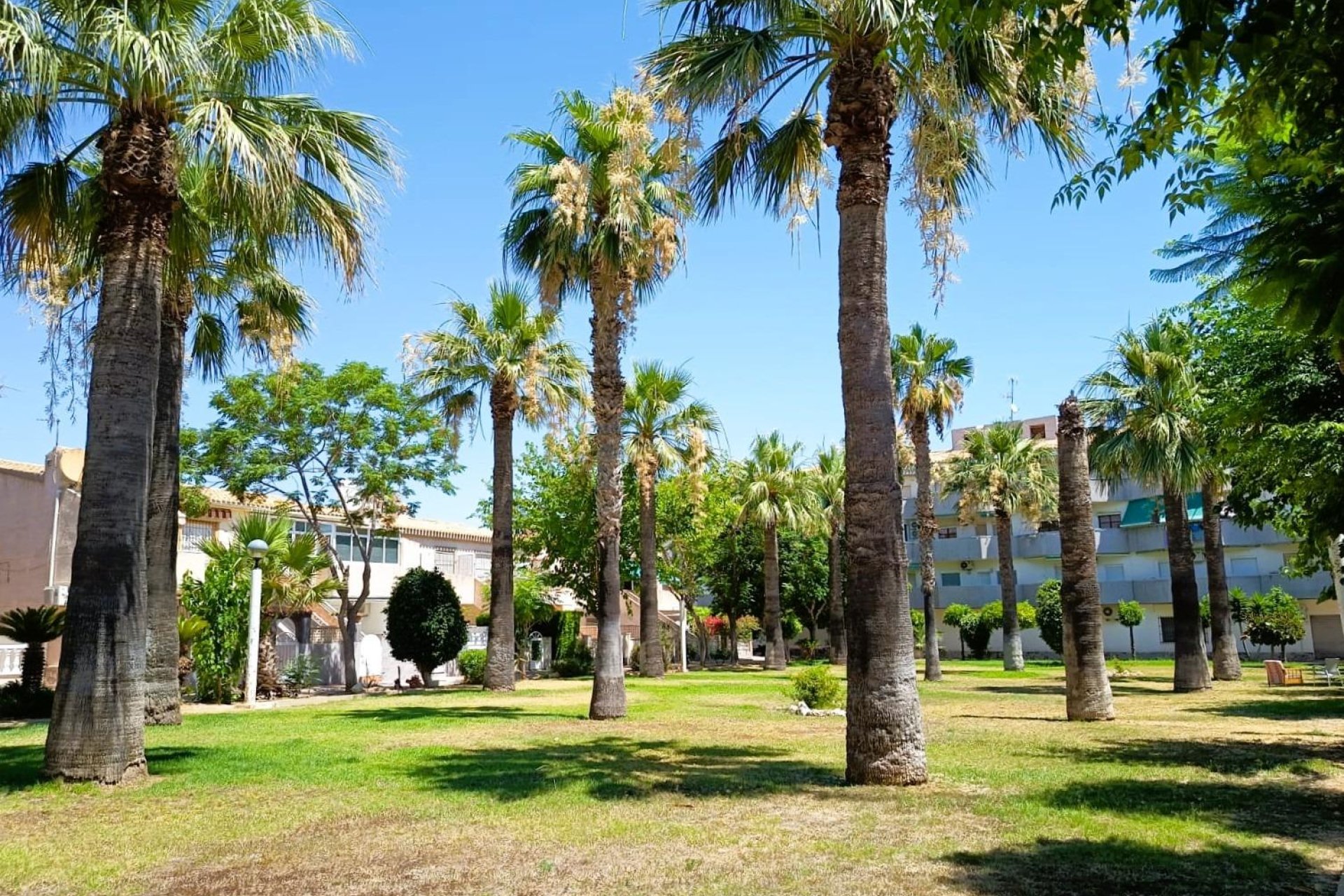 Revente - Bungalow - Orihuela Costa - La Regia