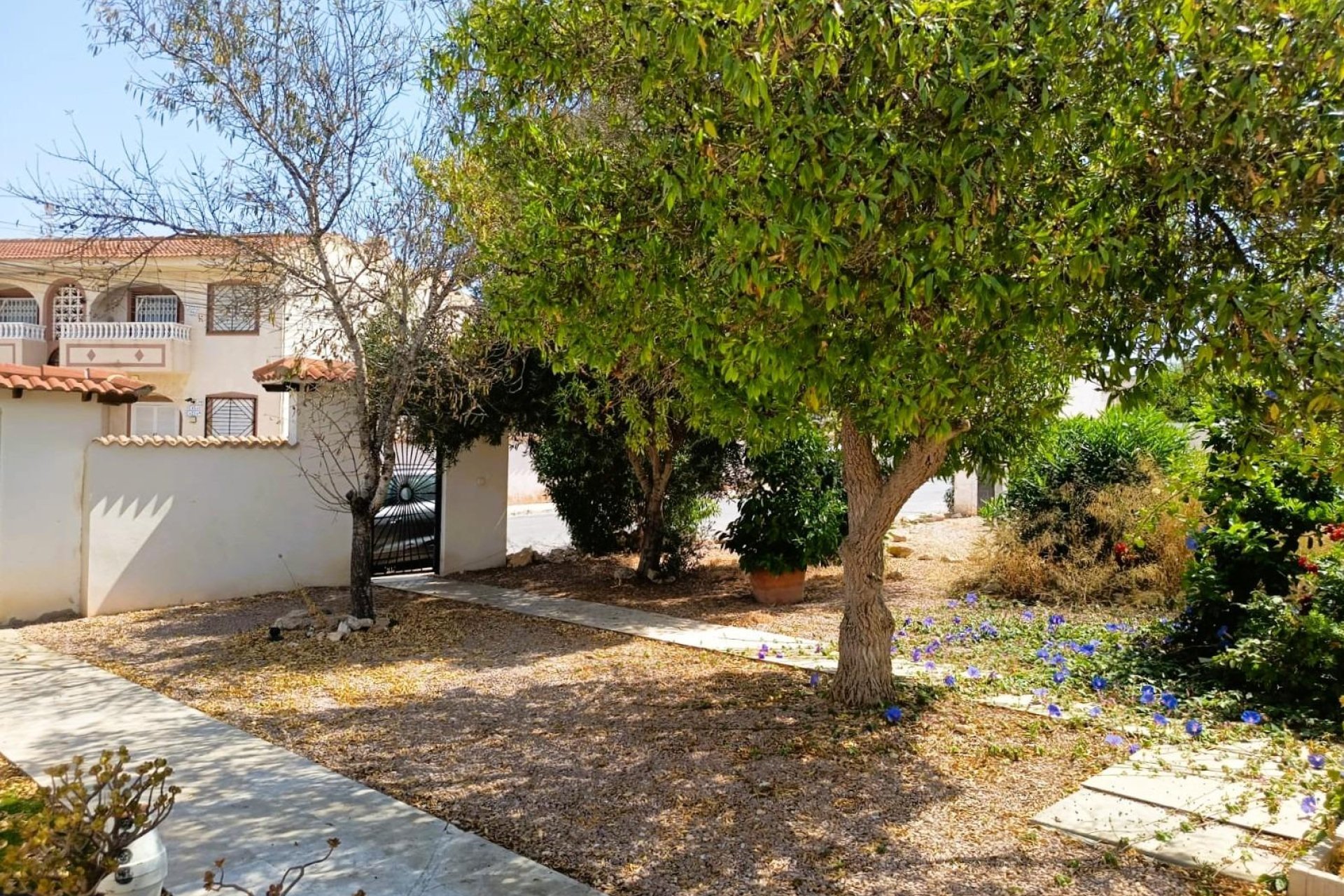 Revente - Bungalow - Torrevieja - La Siesta - El Salado - Torreta