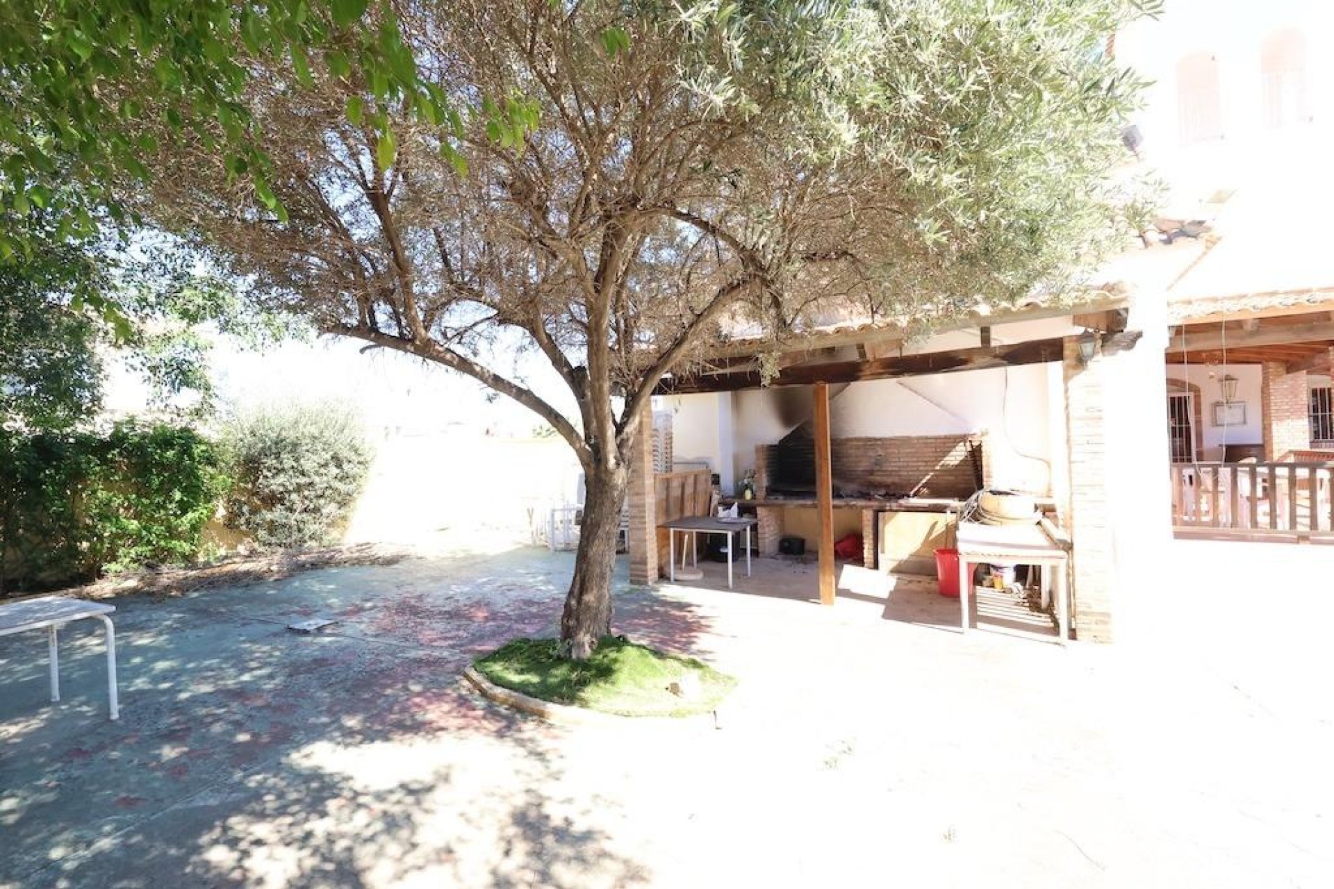 Revente - entreprise - Orihuela Costa - La Zenia