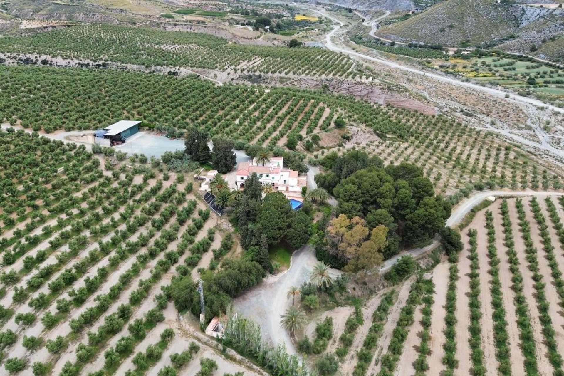 Revente - Olivar - Puerto Lumbreras - Nogalte
