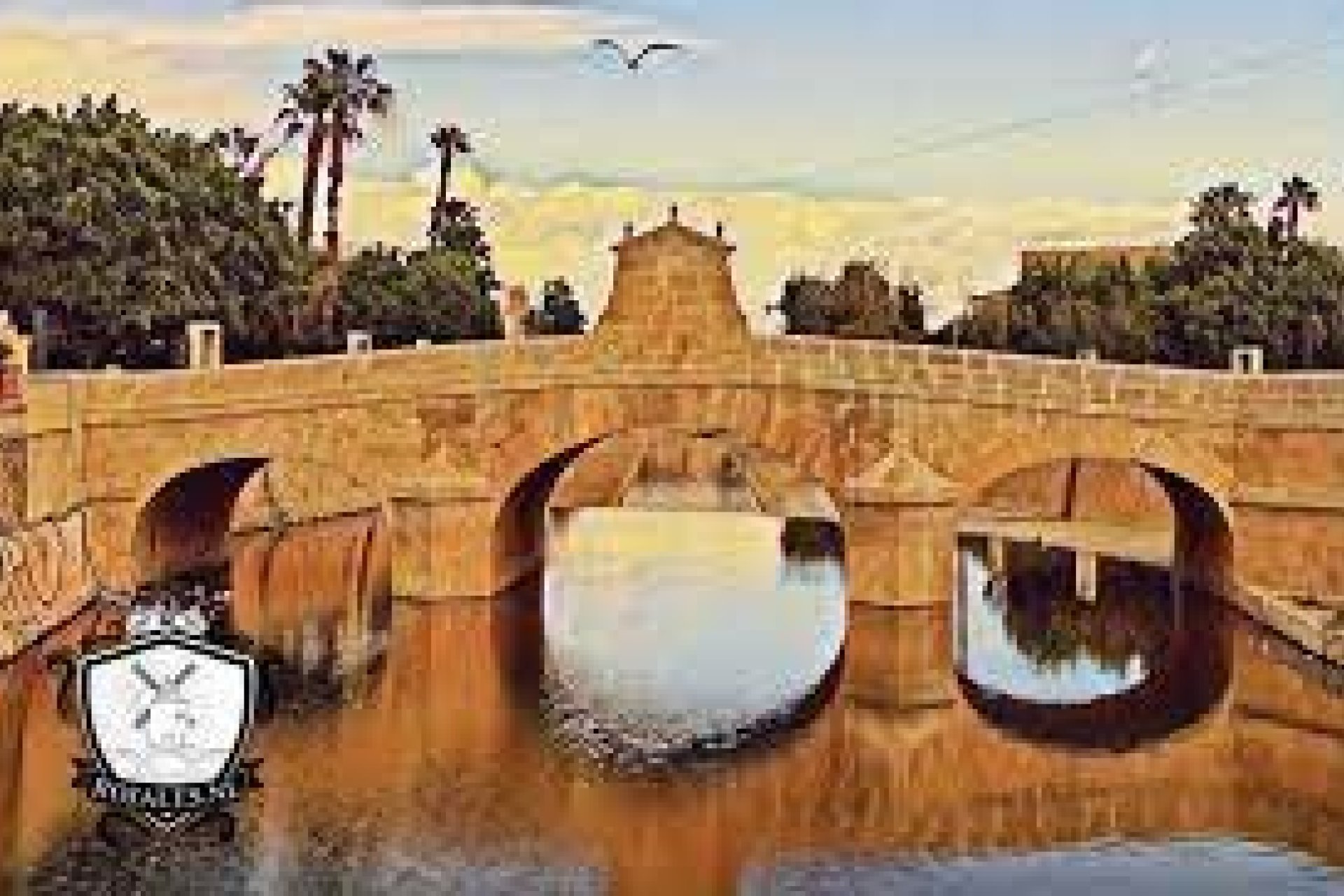 Revente - Solaire - Rojales - Centro