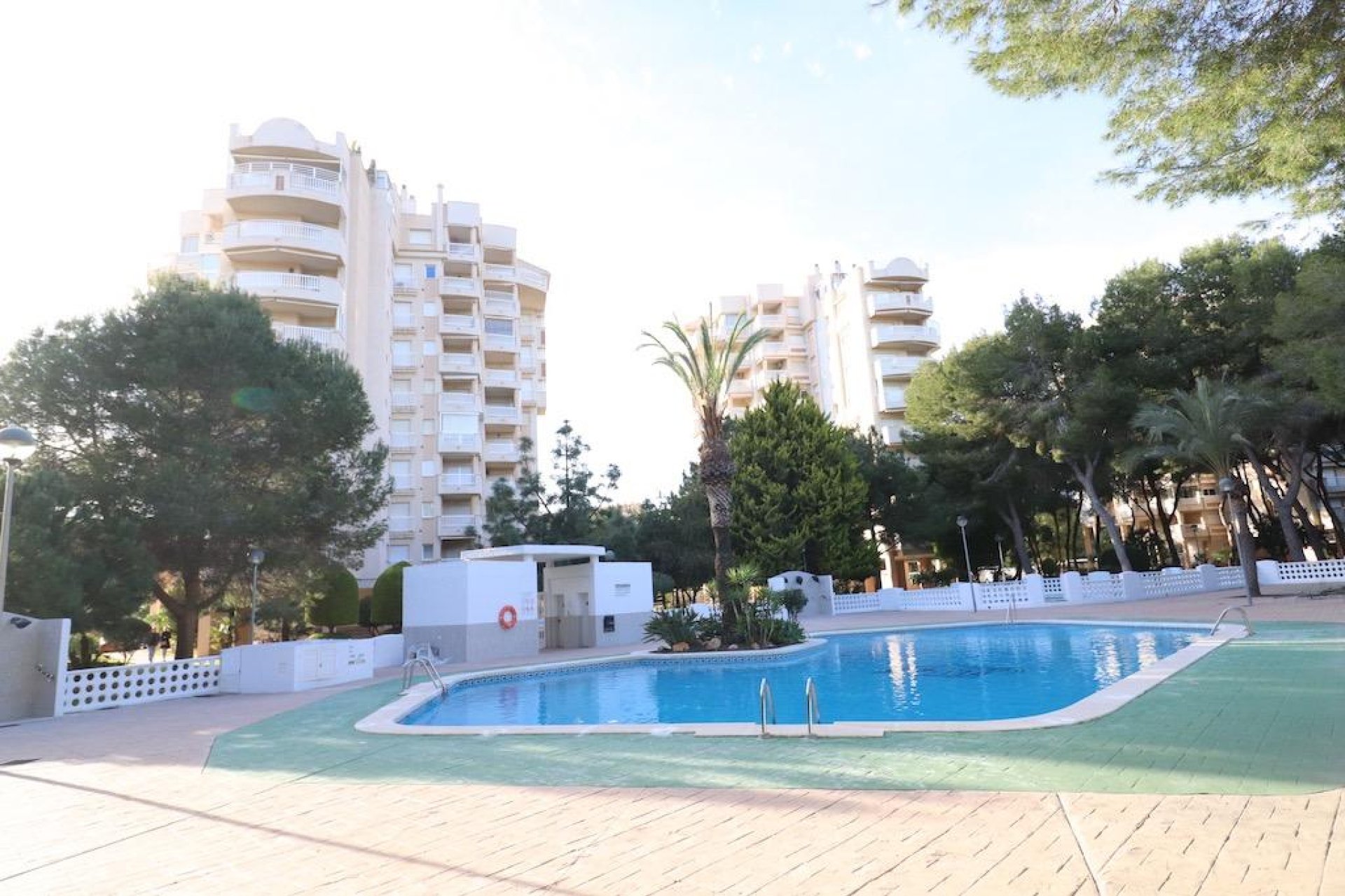 Segunda Mano - Apartamento - Orihuela Costa - Campoamor