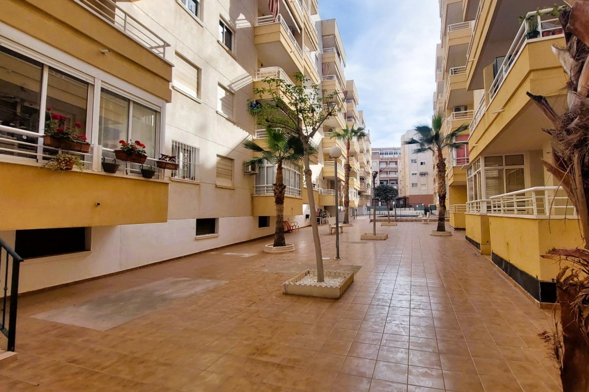 Segunda Mano - Apartamento - Torrevieja - Centro