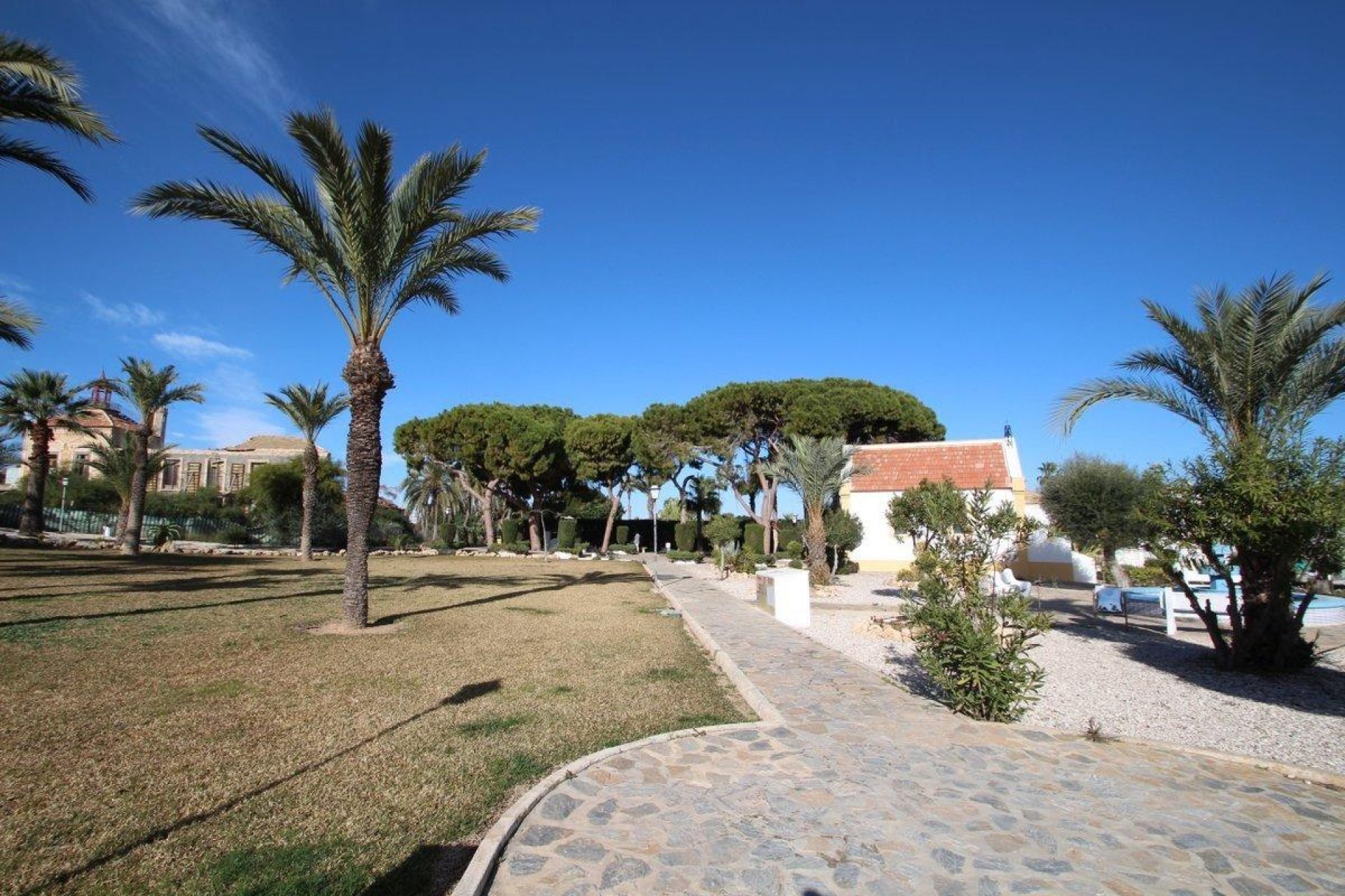 Segunda Mano - Bungalow - Torrevieja - Los Balcones - Los Altos del Edén