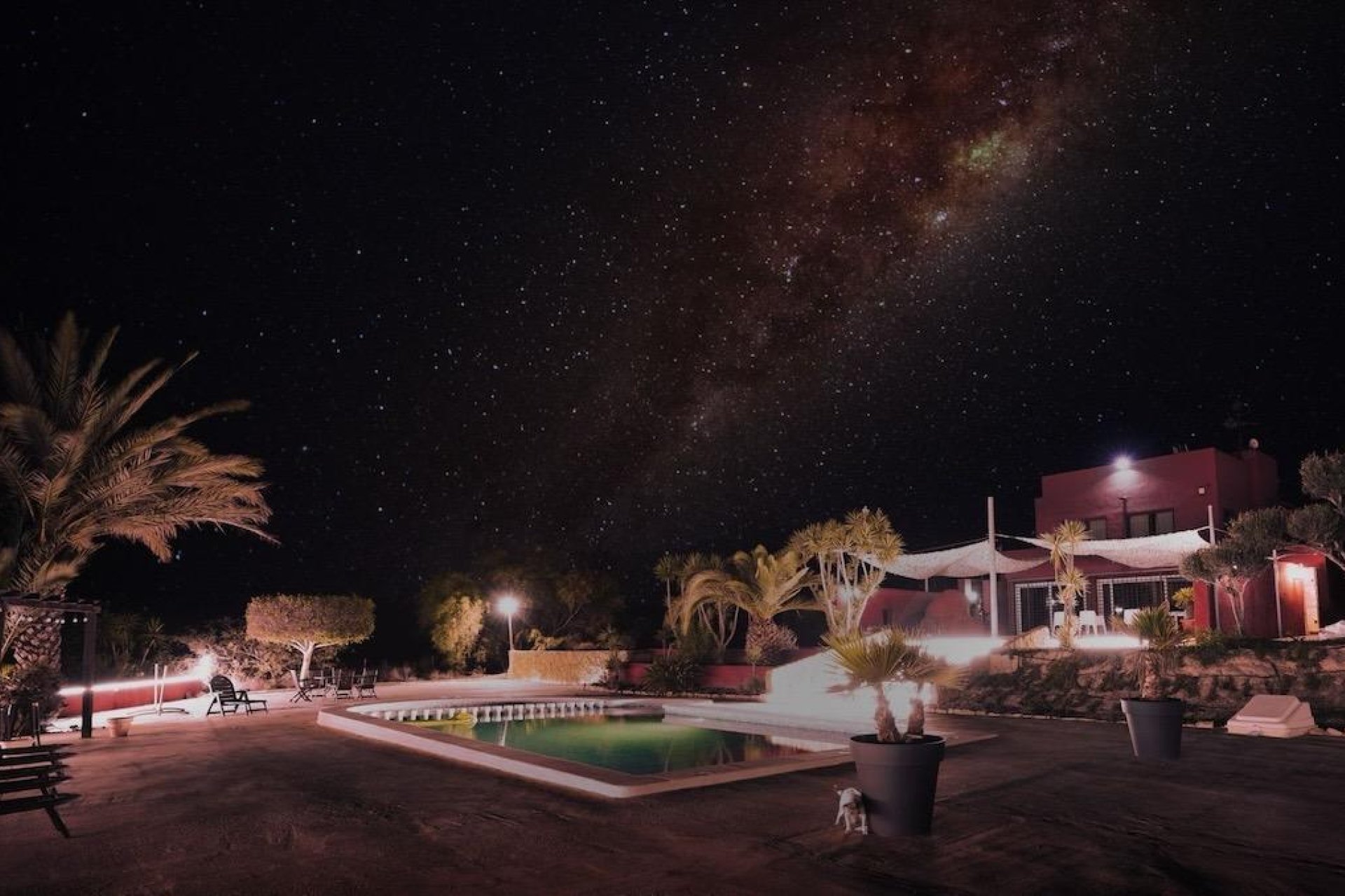 Segunda Mano - Finca rústica - Orihuela - Torremendo