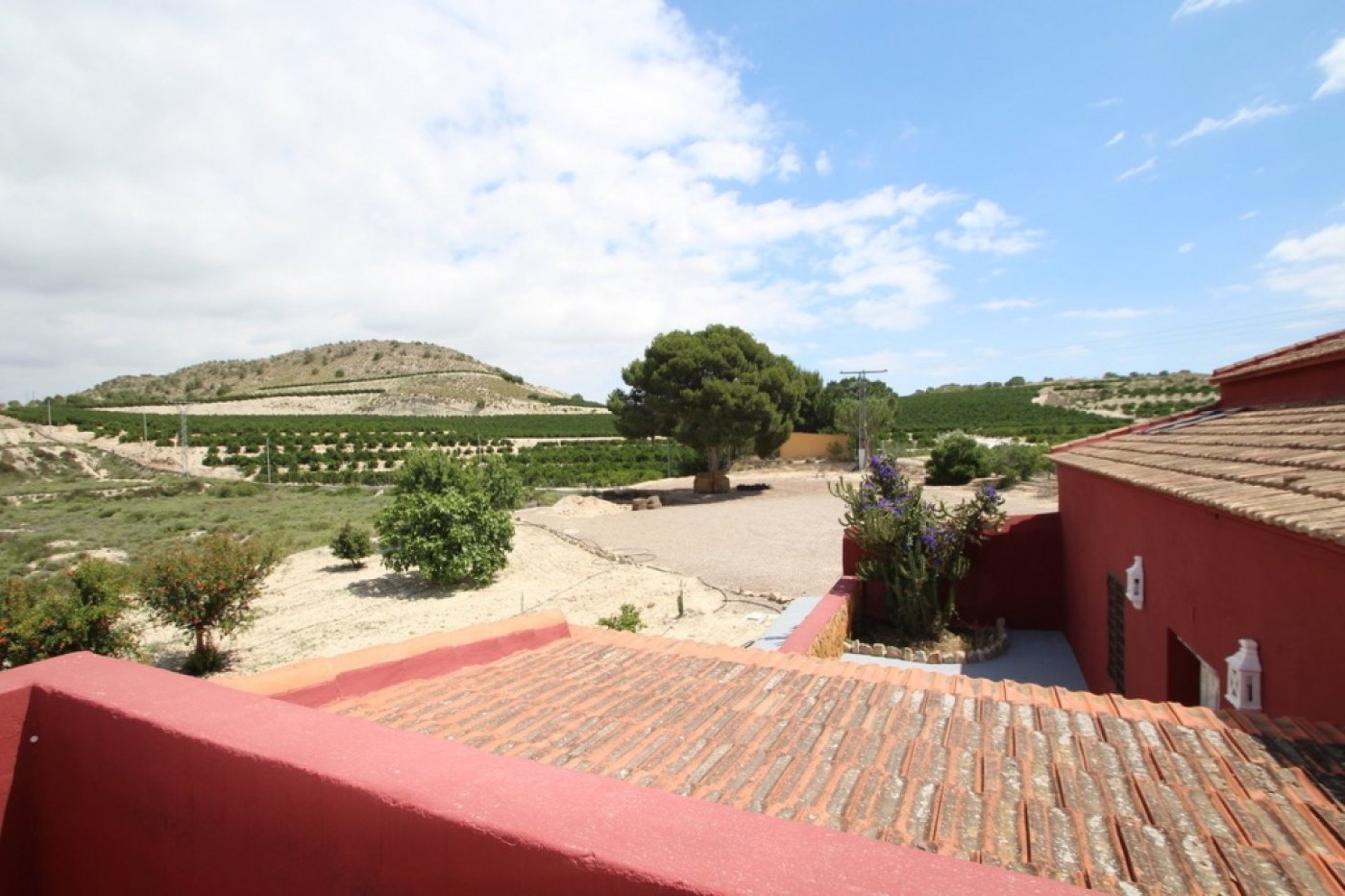 Segunda Mano - Finca rústica - Orihuela - Torremendo