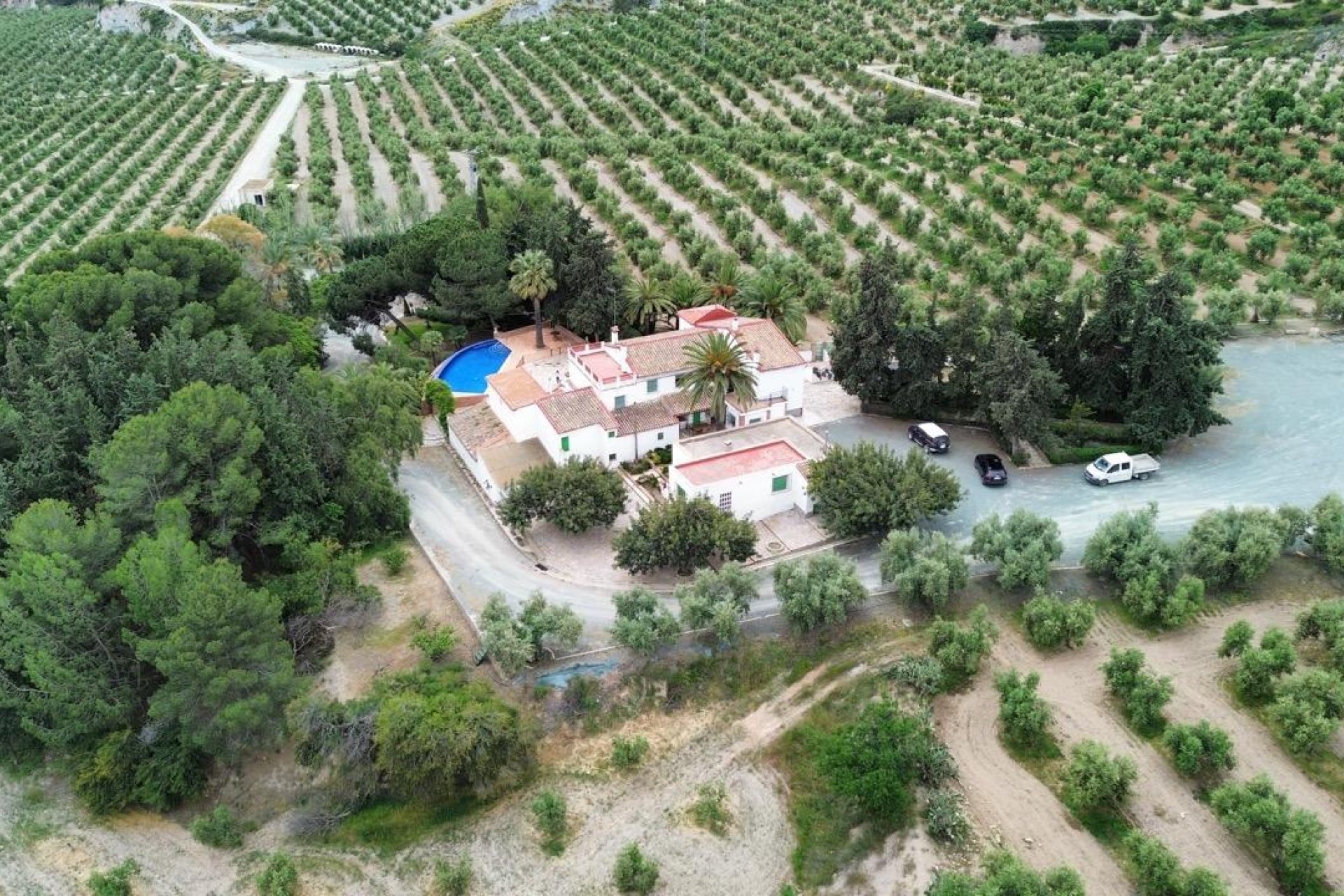 Segunda Mano - Olivar - Puerto Lumbreras - Nogalte