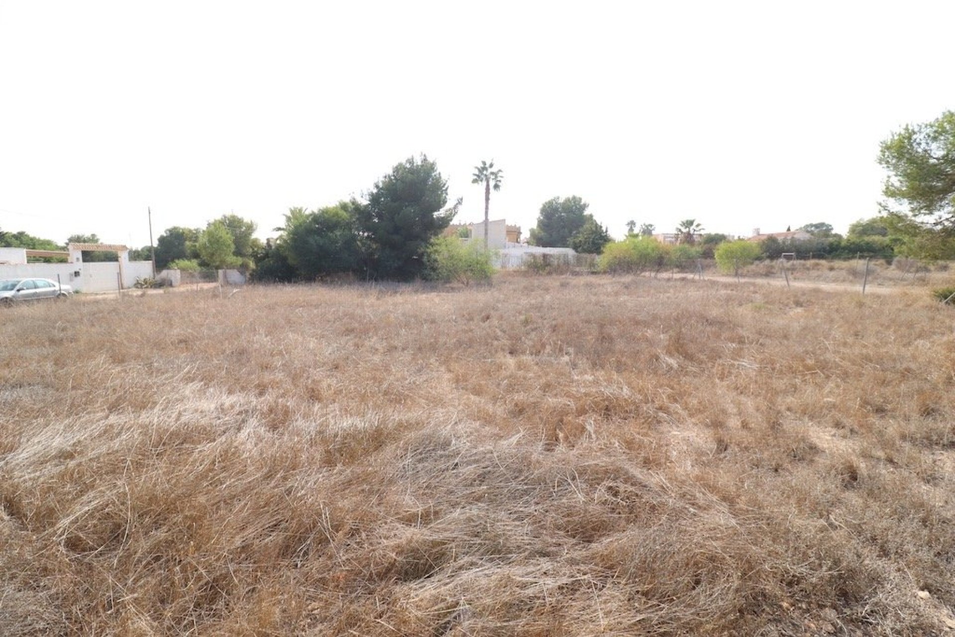 Segunda Mano - Parcela - Orihuela Costa - Lomas de Cabo Roig