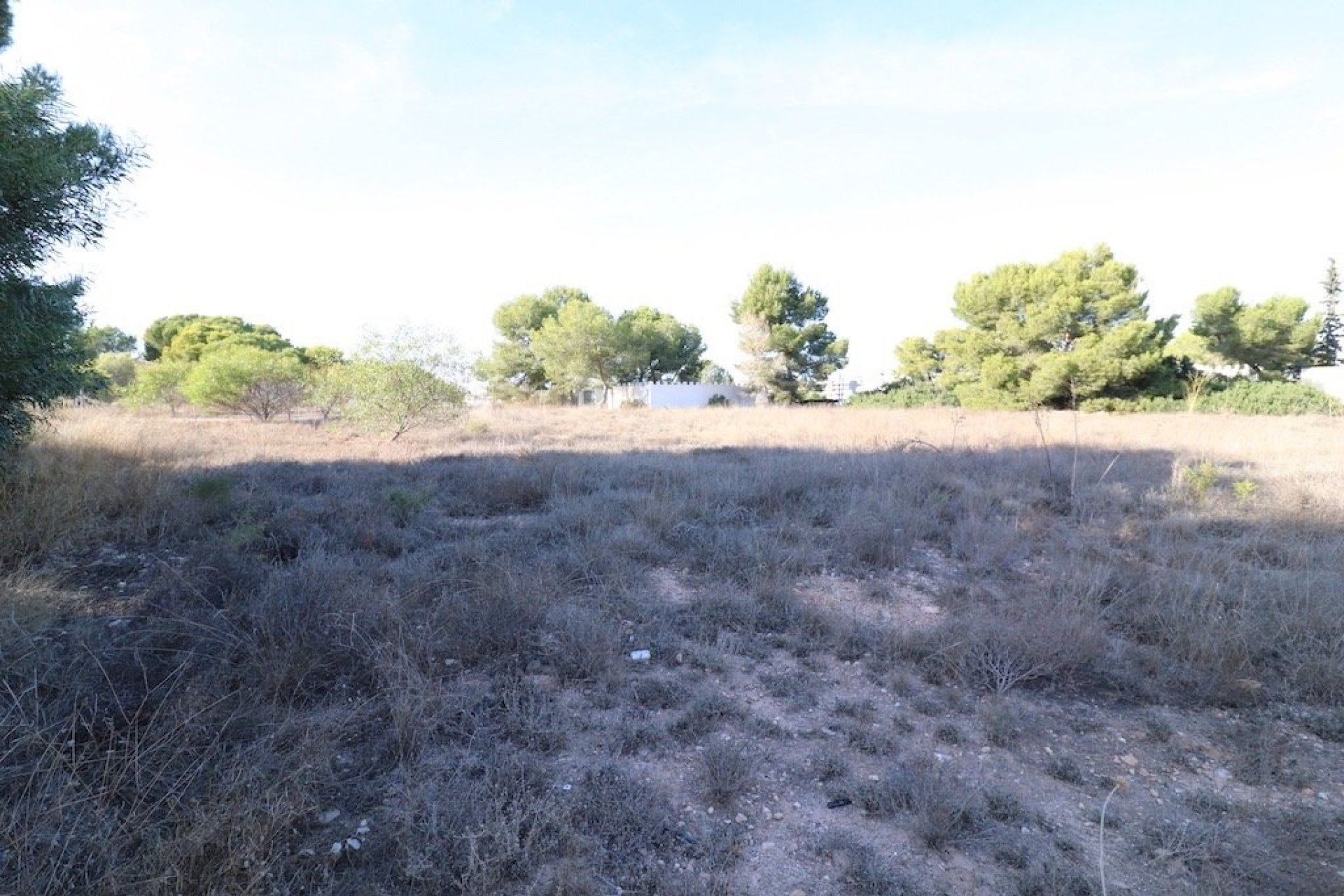 Segunda Mano - Parcela - Orihuela Costa - Lomas de Cabo Roig