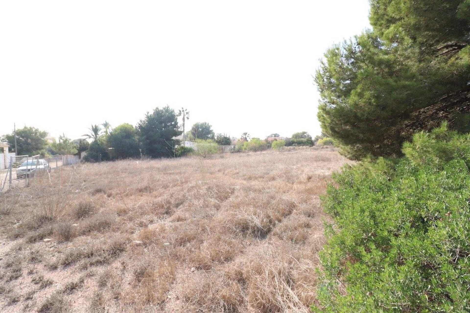 Segunda Mano - Parcela - Orihuela Costa - Lomas de Cabo Roig