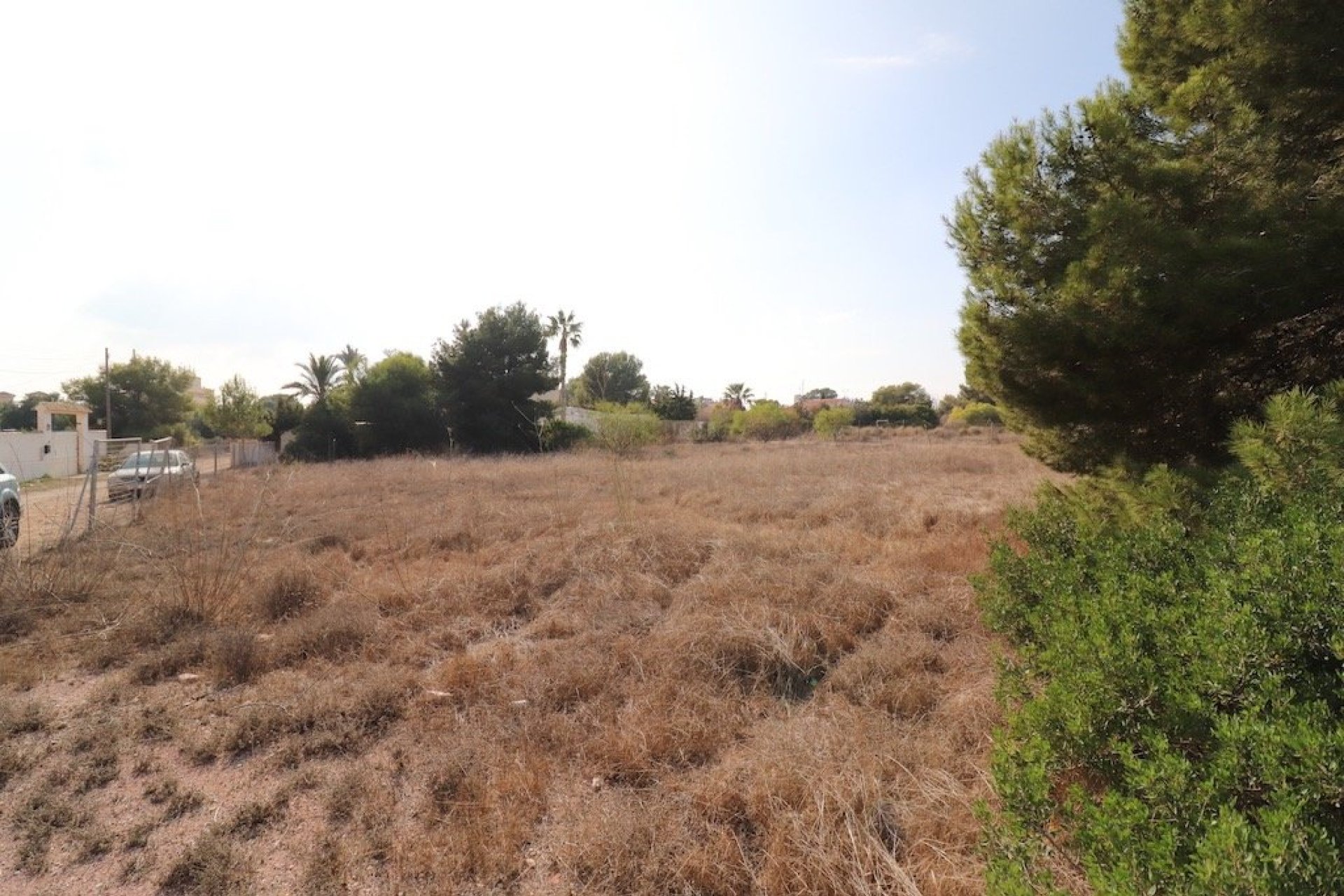 Segunda Mano - Parcela - Orihuela Costa - Lomas de Cabo Roig