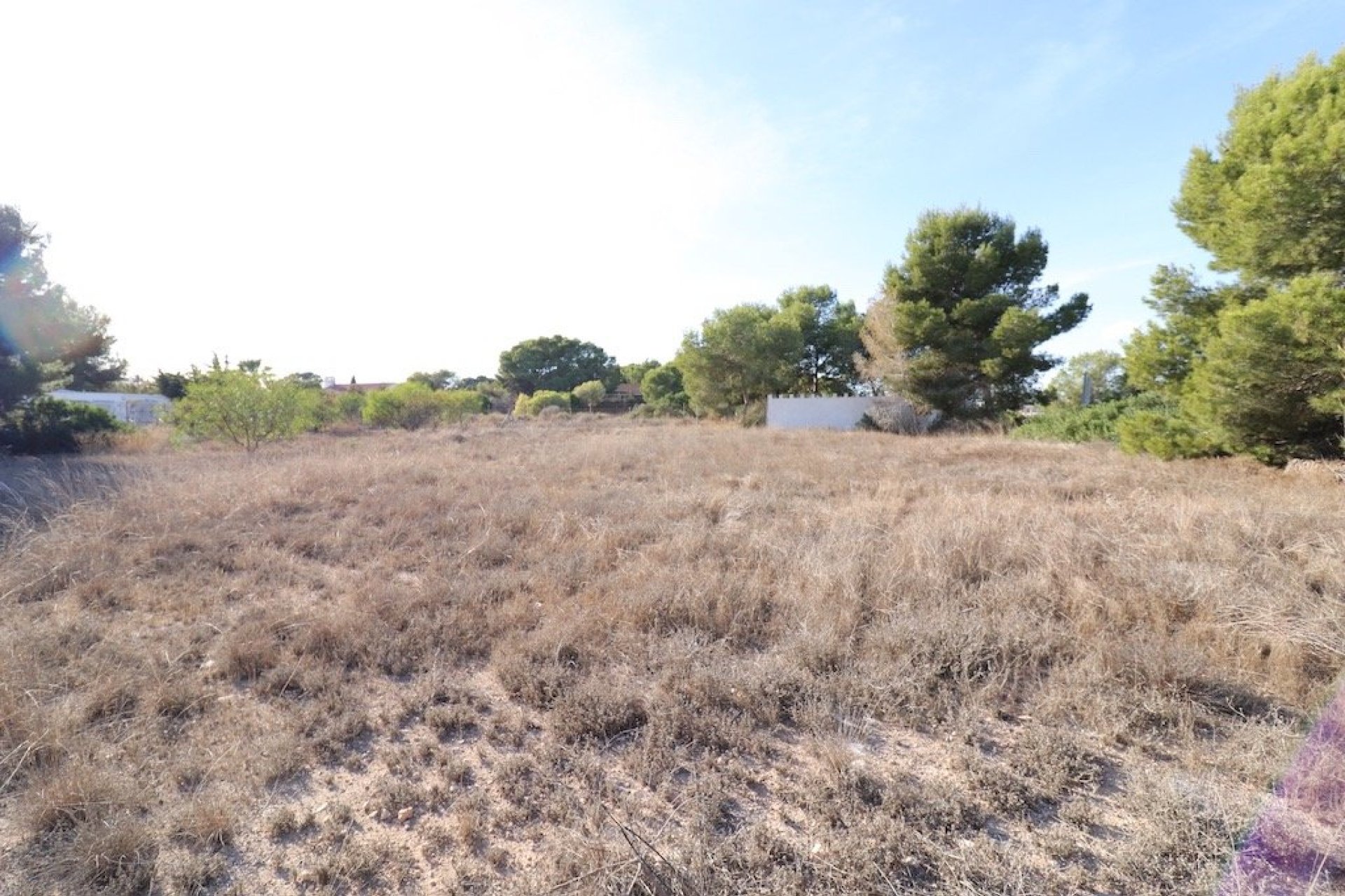 Segunda Mano - Parcela - Orihuela Costa - Lomas de Cabo Roig