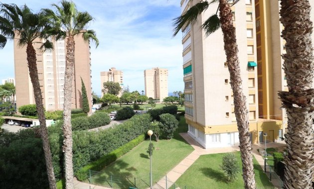 Study - Rental - Orihuela Costa - Campoamor