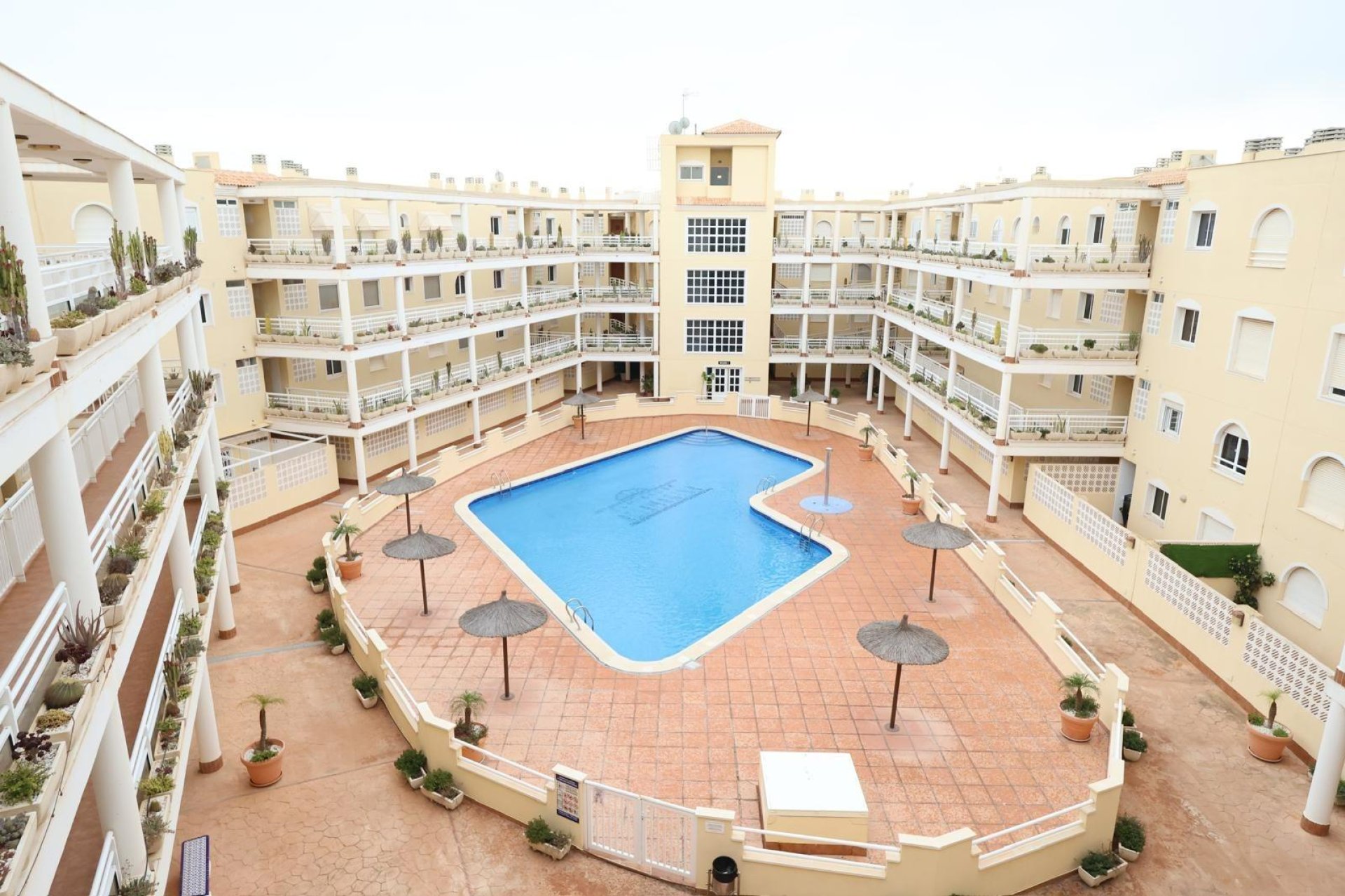 Verhuur - Appartement  - Campoamor - Orihuela costa