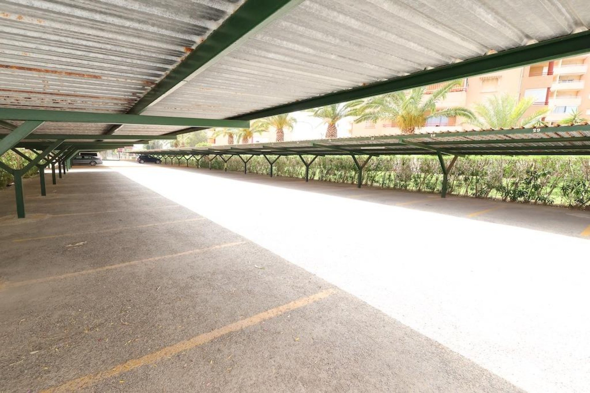 Verhuur - Appartement  - Orihuela Costa - Campoamor