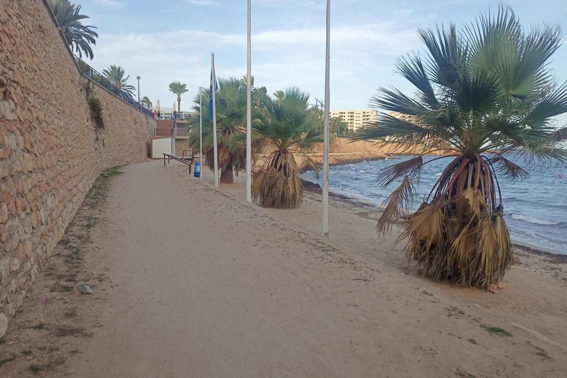 Verhuur - Appartement  - Orihuela Costa - Punta Prima