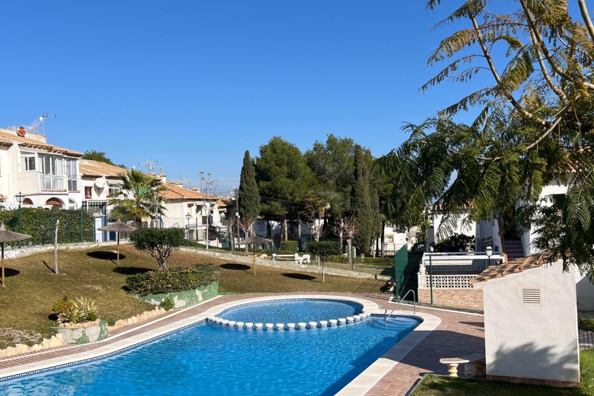 Verhuur - Appartement  - Torrevieja - Los balcones